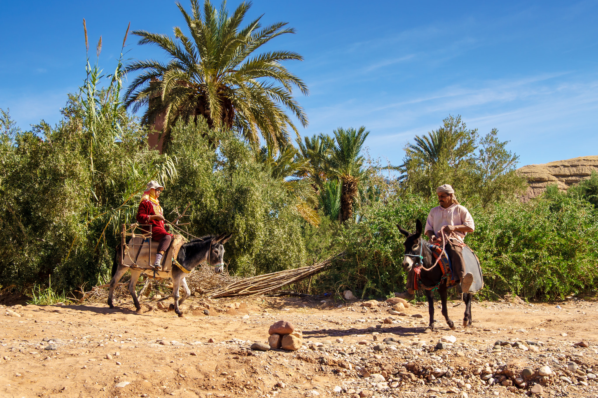 Sony ILCA-77M2 + Sigma 17-70mm F2.8-4.5 (D) sample photo. Donkey riding photography