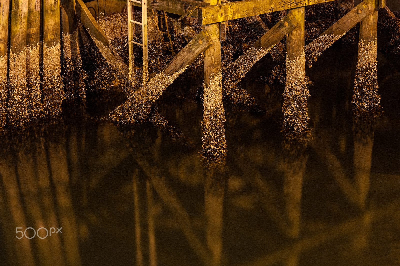 Pentax K-7 + Pentax smc DA 50mm F1.8 sample photo. False creek evening photography