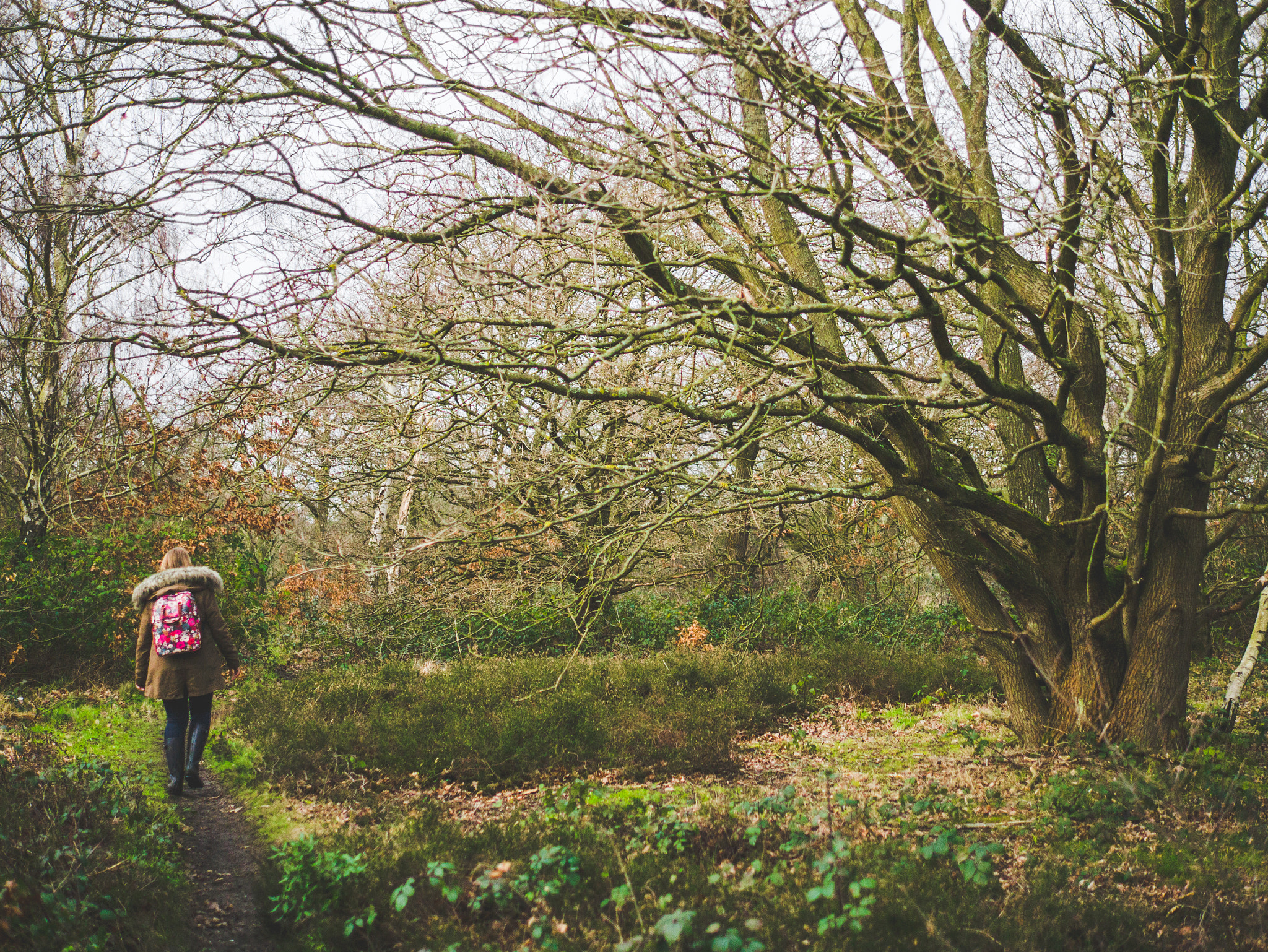 Panasonic Lumix DMC-G3 + Panasonic Leica DG Summilux 25mm F1.4 II ASPH sample photo. Wimbledon common trekking photography