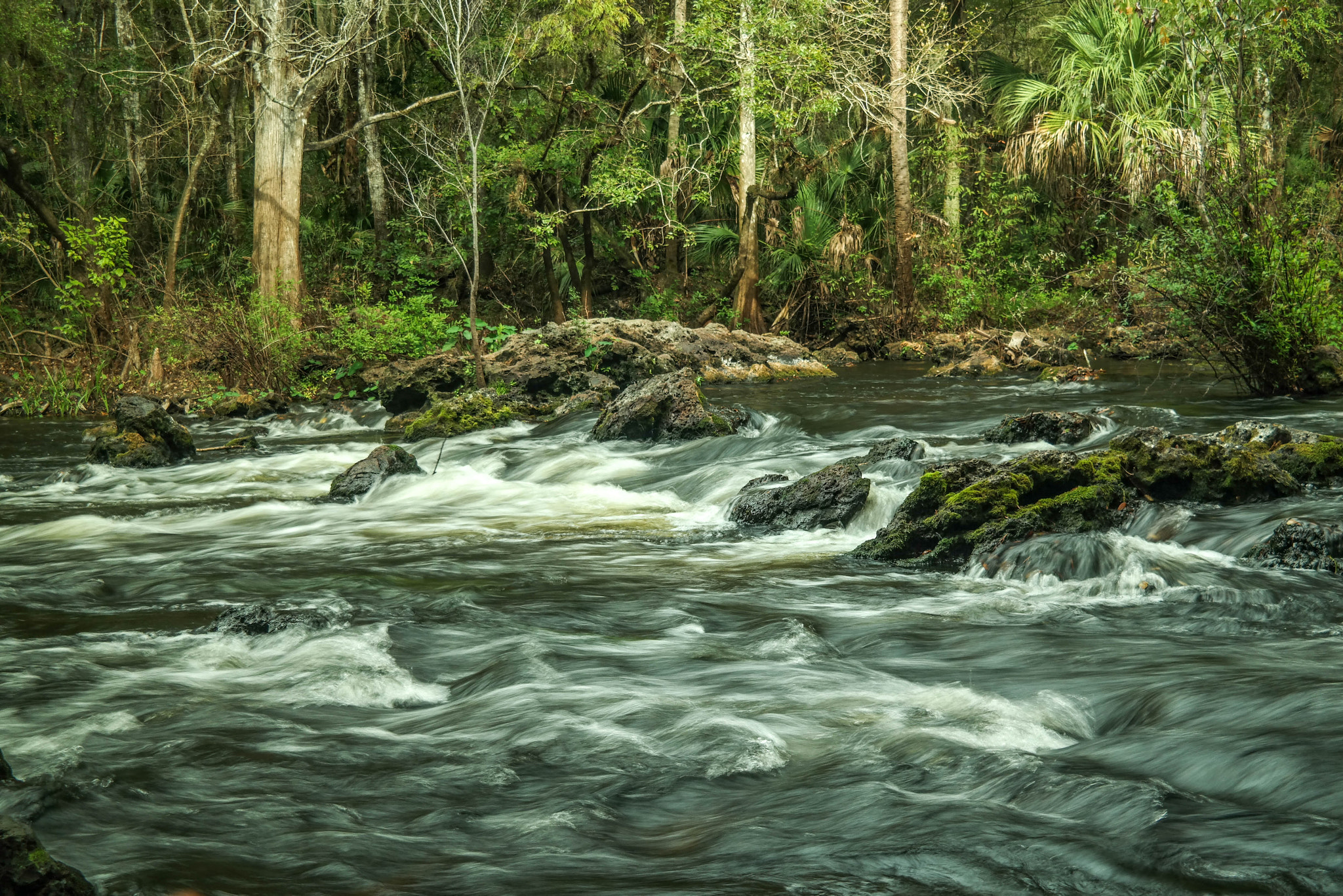 Samsung NX30 + NX 18-55mm F3.5-5.6 sample photo. Small rapids. hillsborough river. florida photography