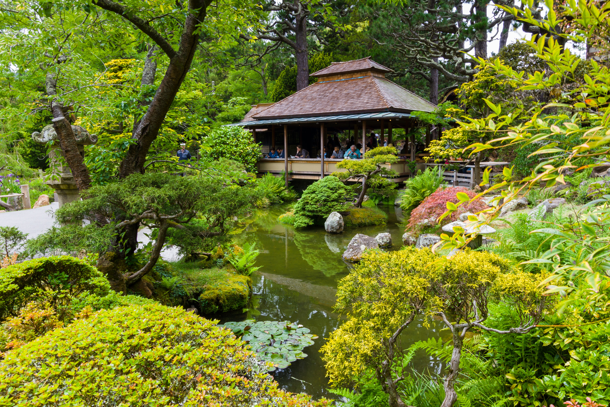 Sony SLT-A65 (SLT-A65V) sample photo. Japanese tea garden photography