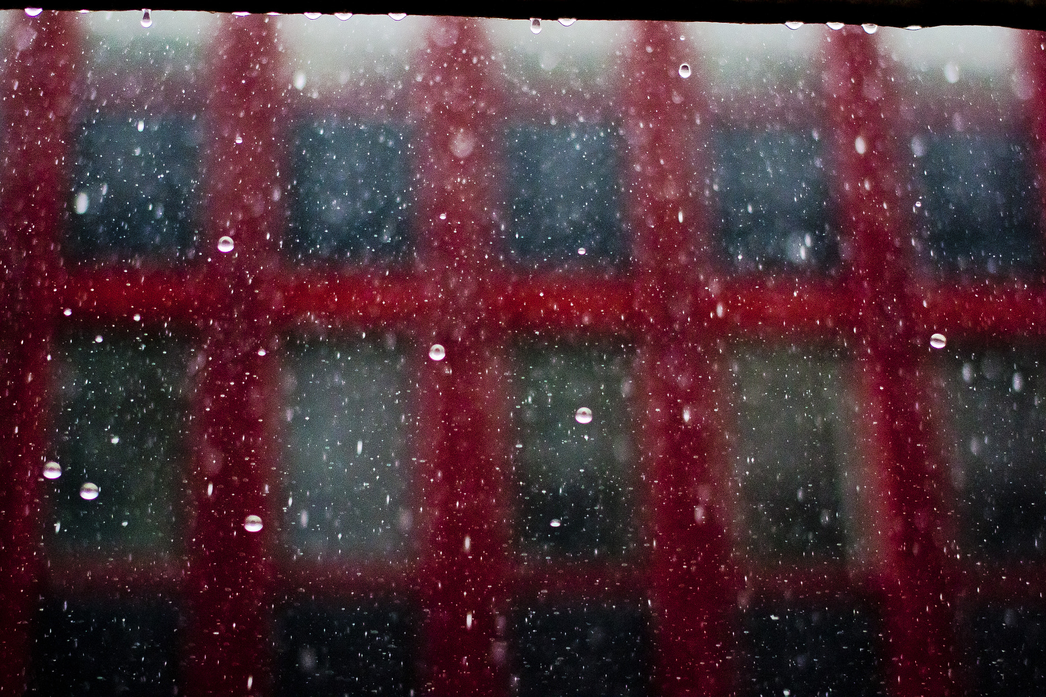 Sigma 50mm F1.4 EX DG HSM sample photo. Rain photography