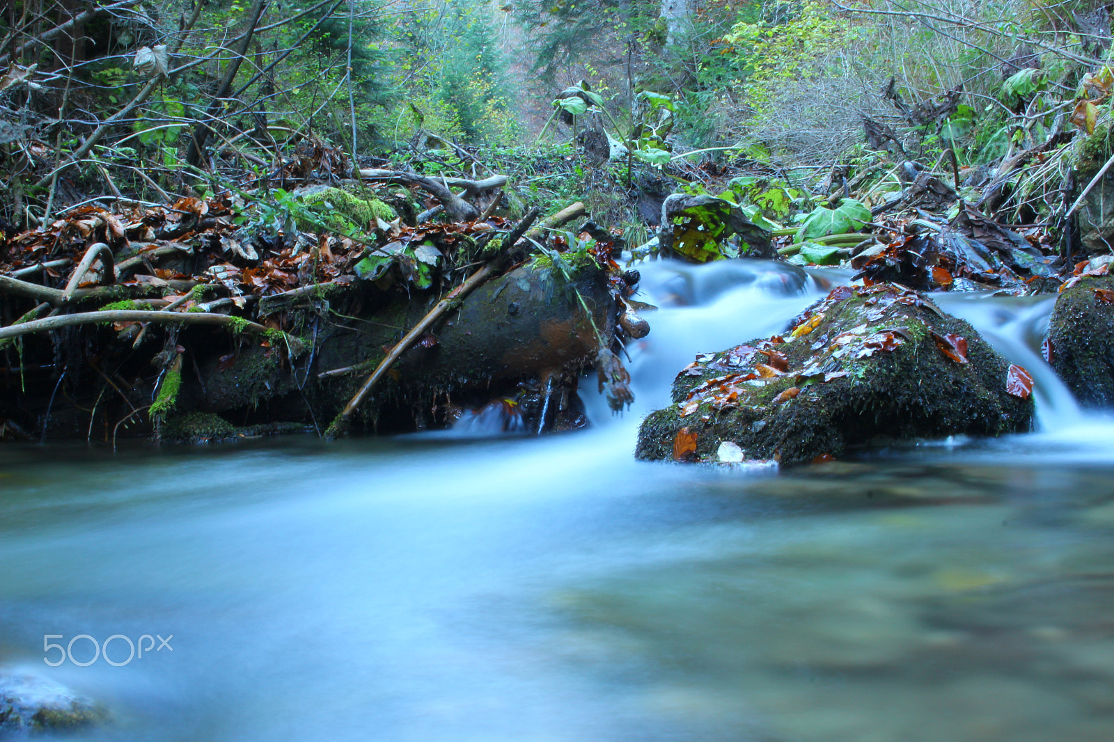 Canon EF-S 18-55mm F3.5-5.6 sample photo. Autumn 2015 photography