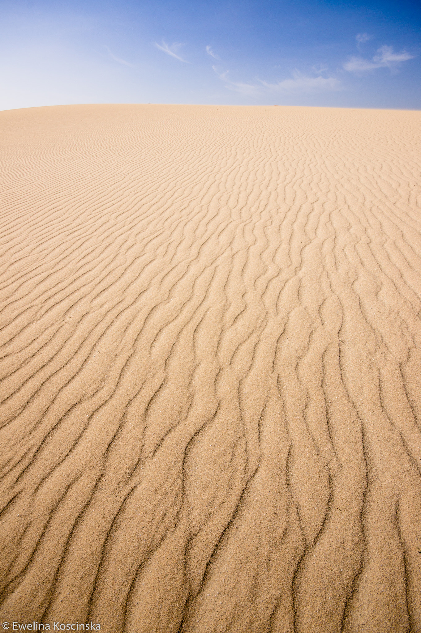 Sony Alpha DSLR-A580 sample photo. Dunes photography
