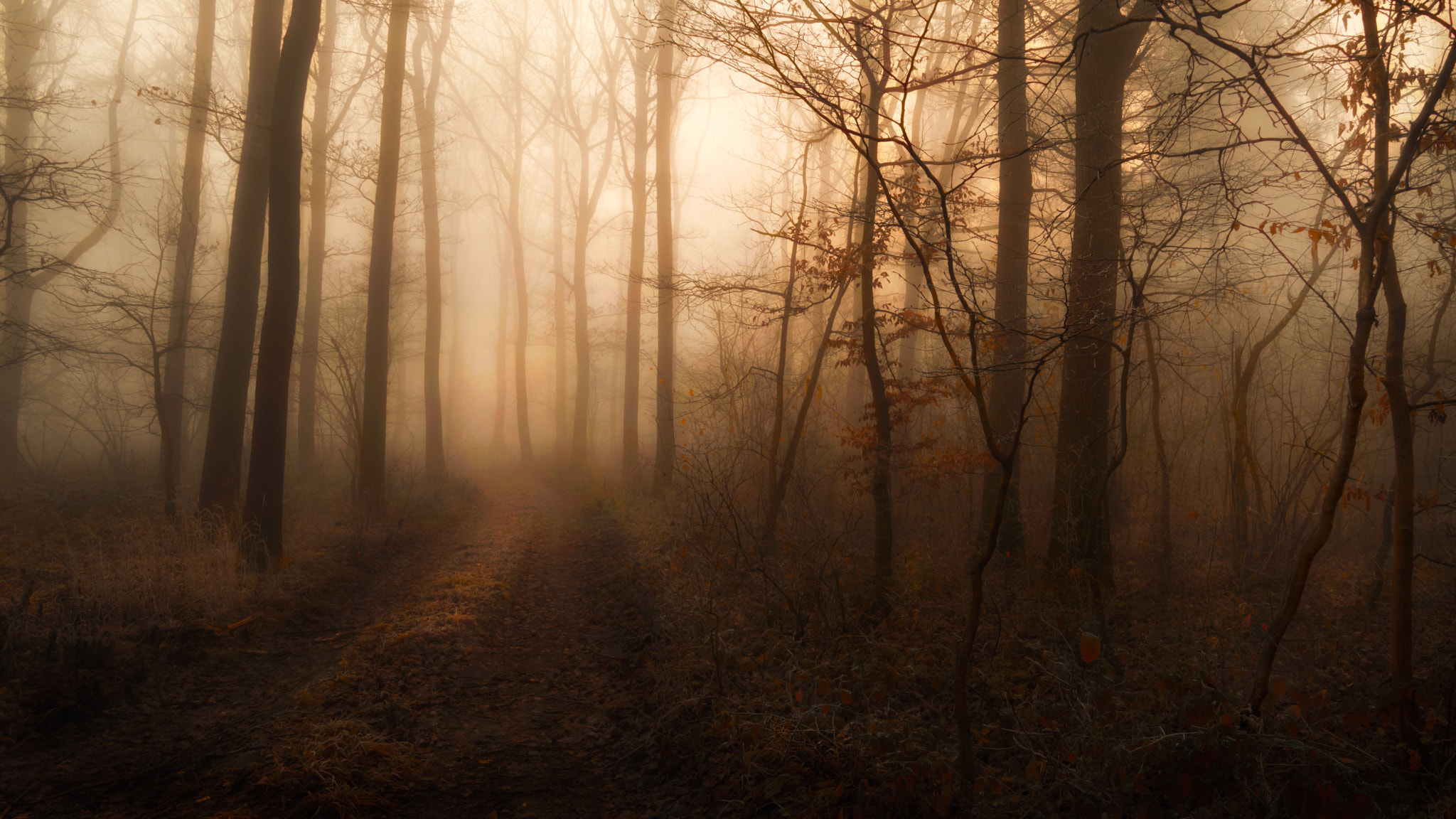Nikon D7100 + Sigma 18-50mm F2.8 EX DC sample photo. Walk this mood photography