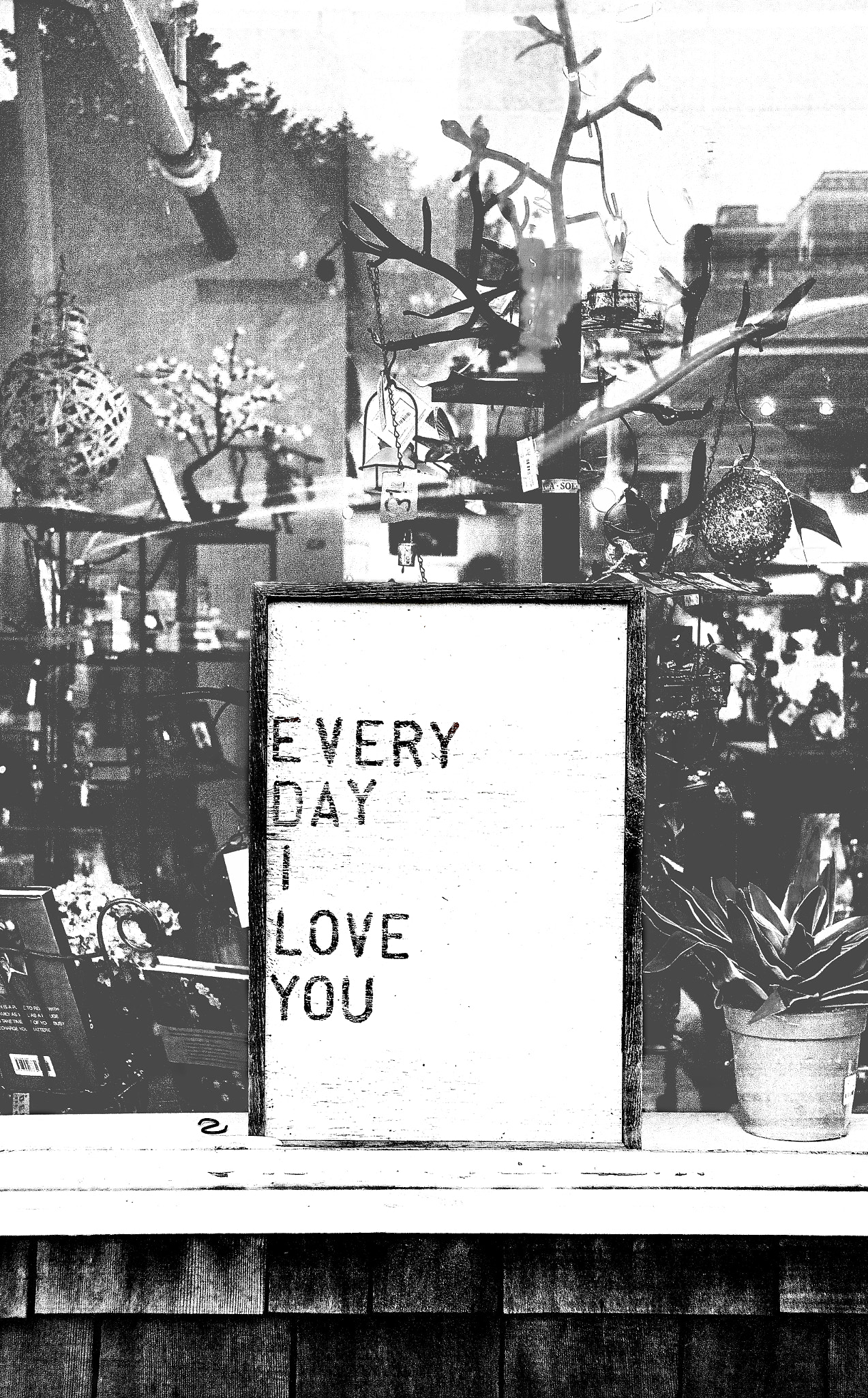 Canon EF 28-200mm F3.5-5.6 USM sample photo. Everyday i love you photography
