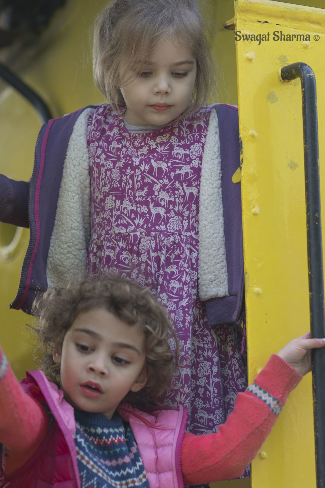 Nikon D7200 + Nikon AF-S Nikkor 85mm F1.4G sample photo. Dsc_3966.jpg photography