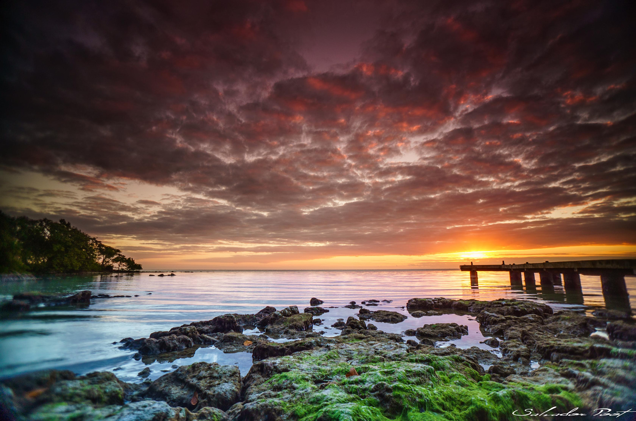 Sony a7S + Sony E 16mm F2.8 sample photo. Chetumal  photography