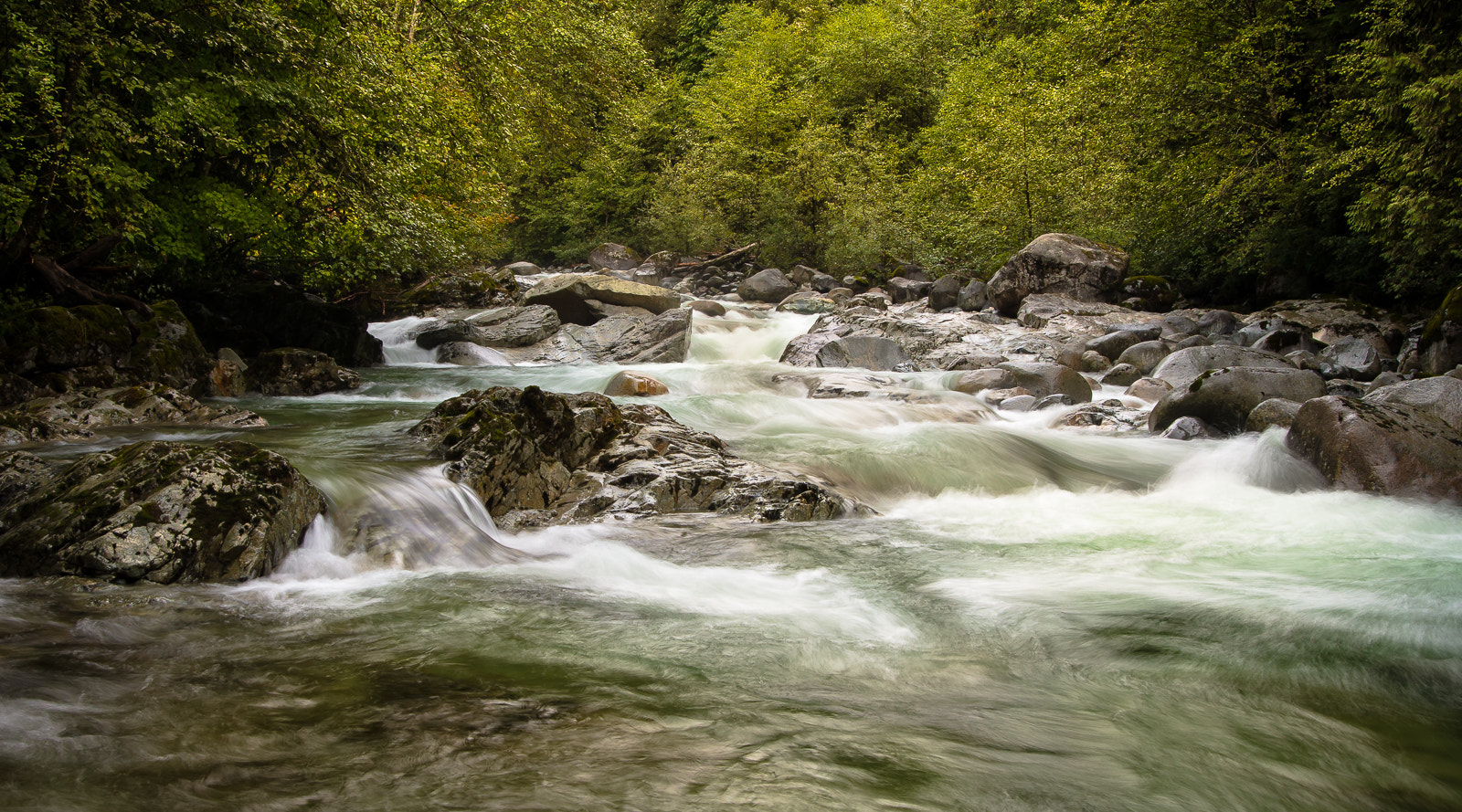 Pentax K-5 IIs sample photo. Lynn canyon in autumn photography