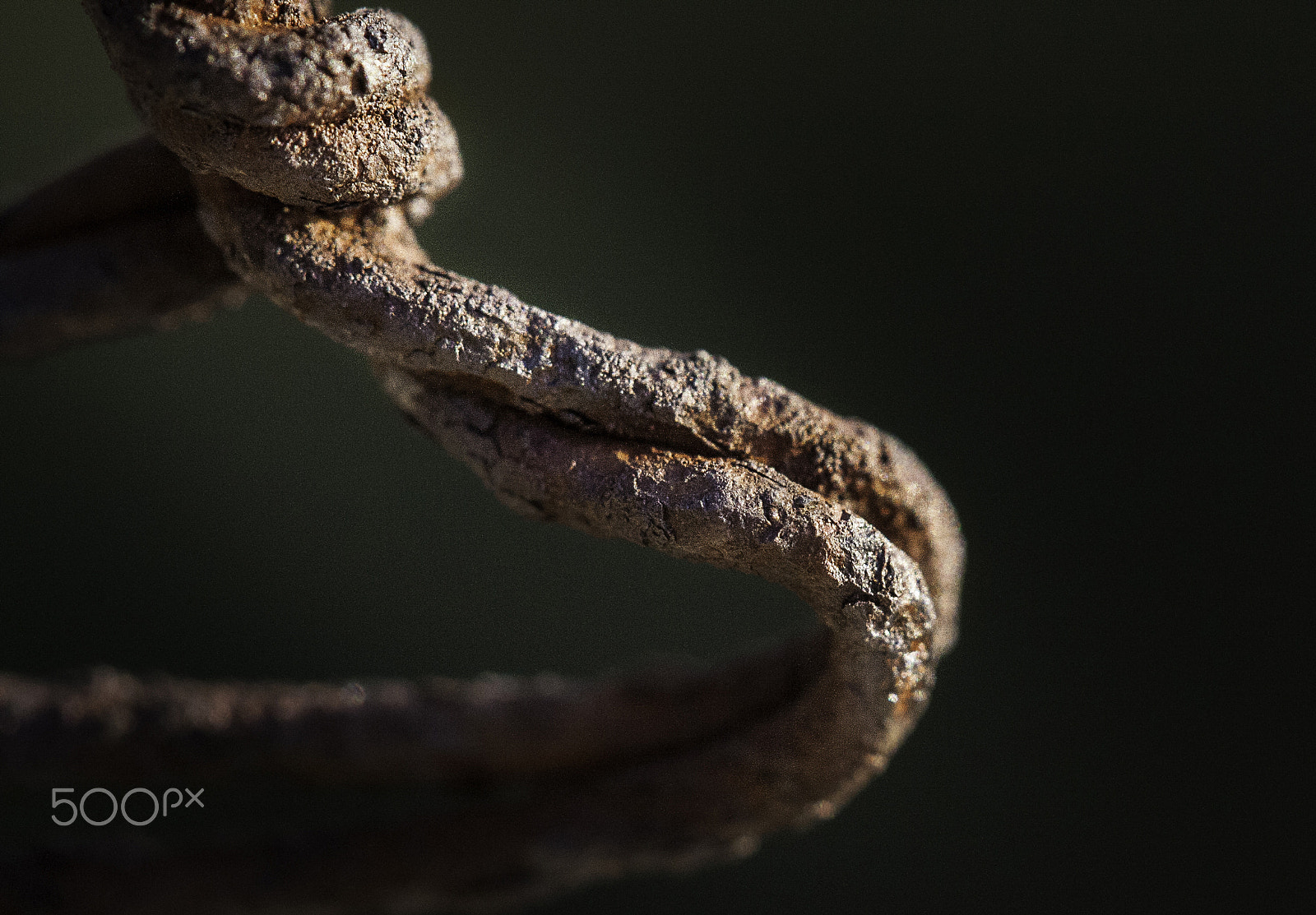 Canon EF-S 60mm F2.8 Macro USM sample photo. No sense .... photography