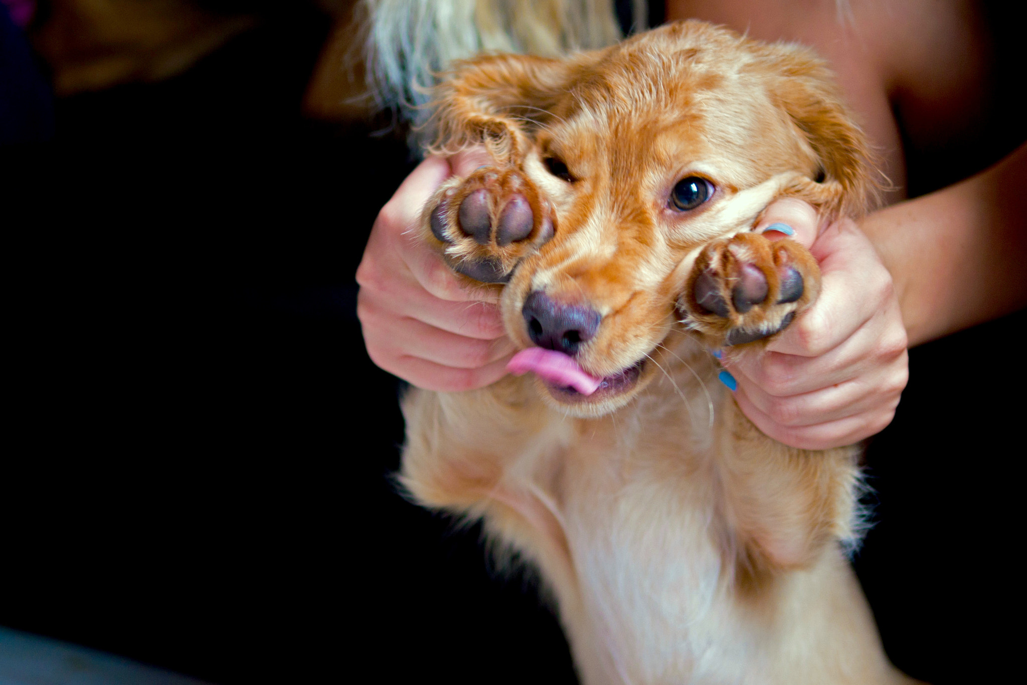 Panasonic Lumix DMC-G6 + Panasonic Leica DG Summilux 25mm F1.4 II ASPH sample photo. Playing with dog photography