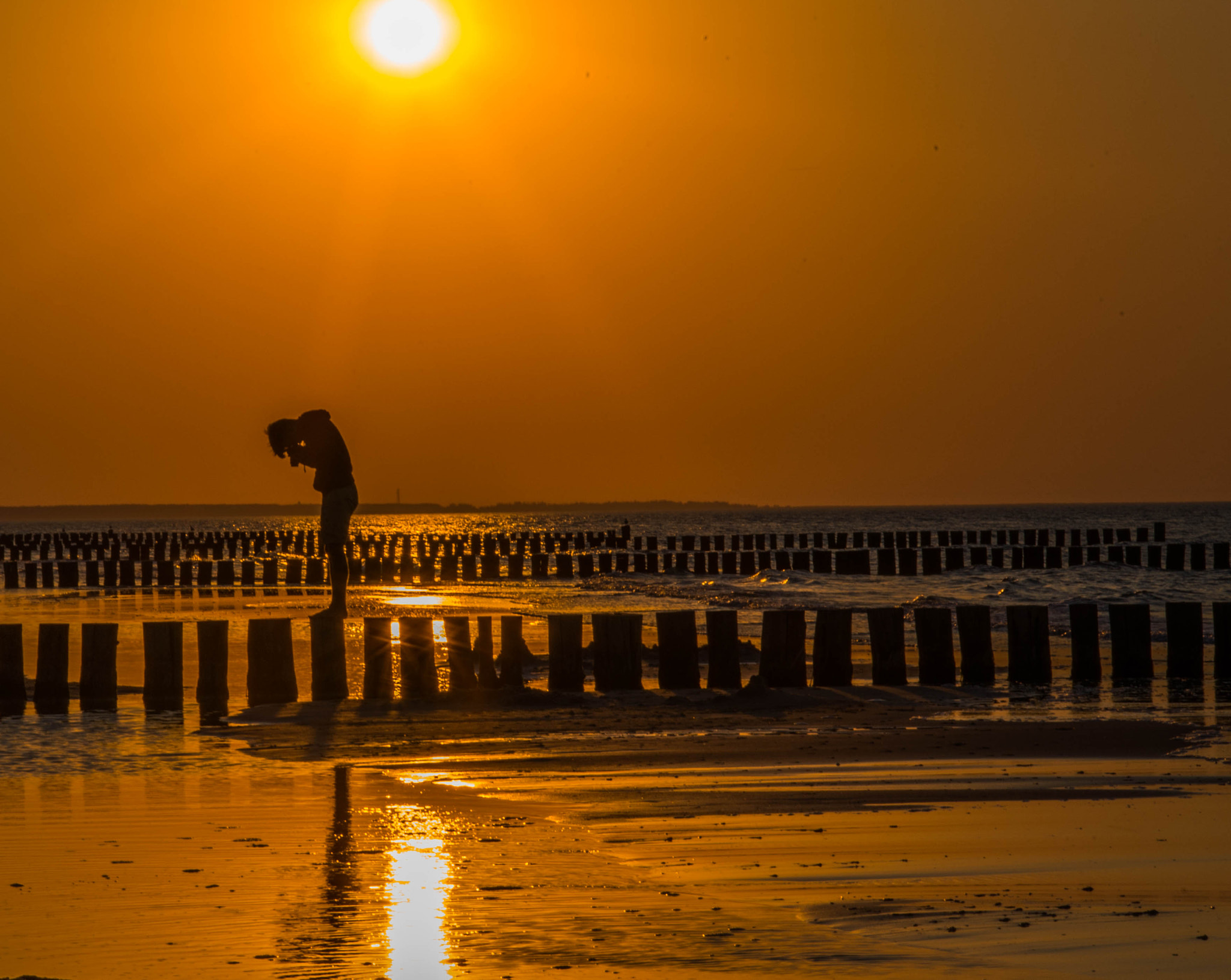 Nikon D600 + Sigma 105mm F2.8 EX DG Macro sample photo. Zingst :) photography