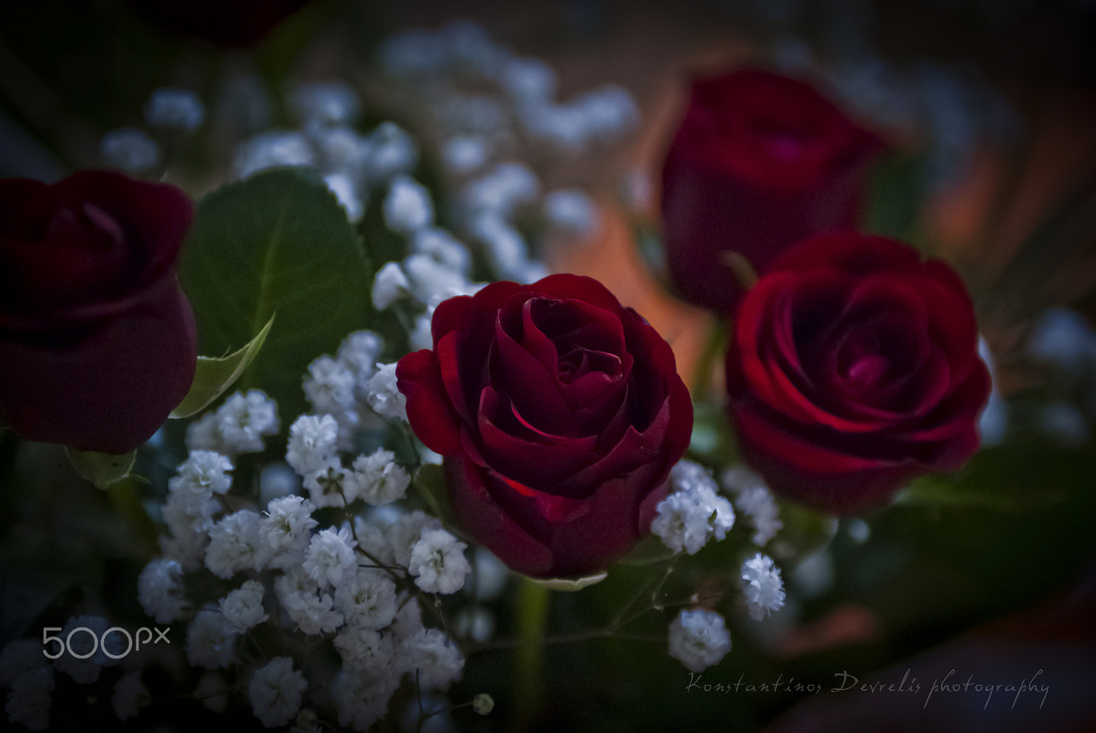 Nikon AF-S Nikkor 28-70mm F2.8 ED-IF sample photo. Red passion ... photography