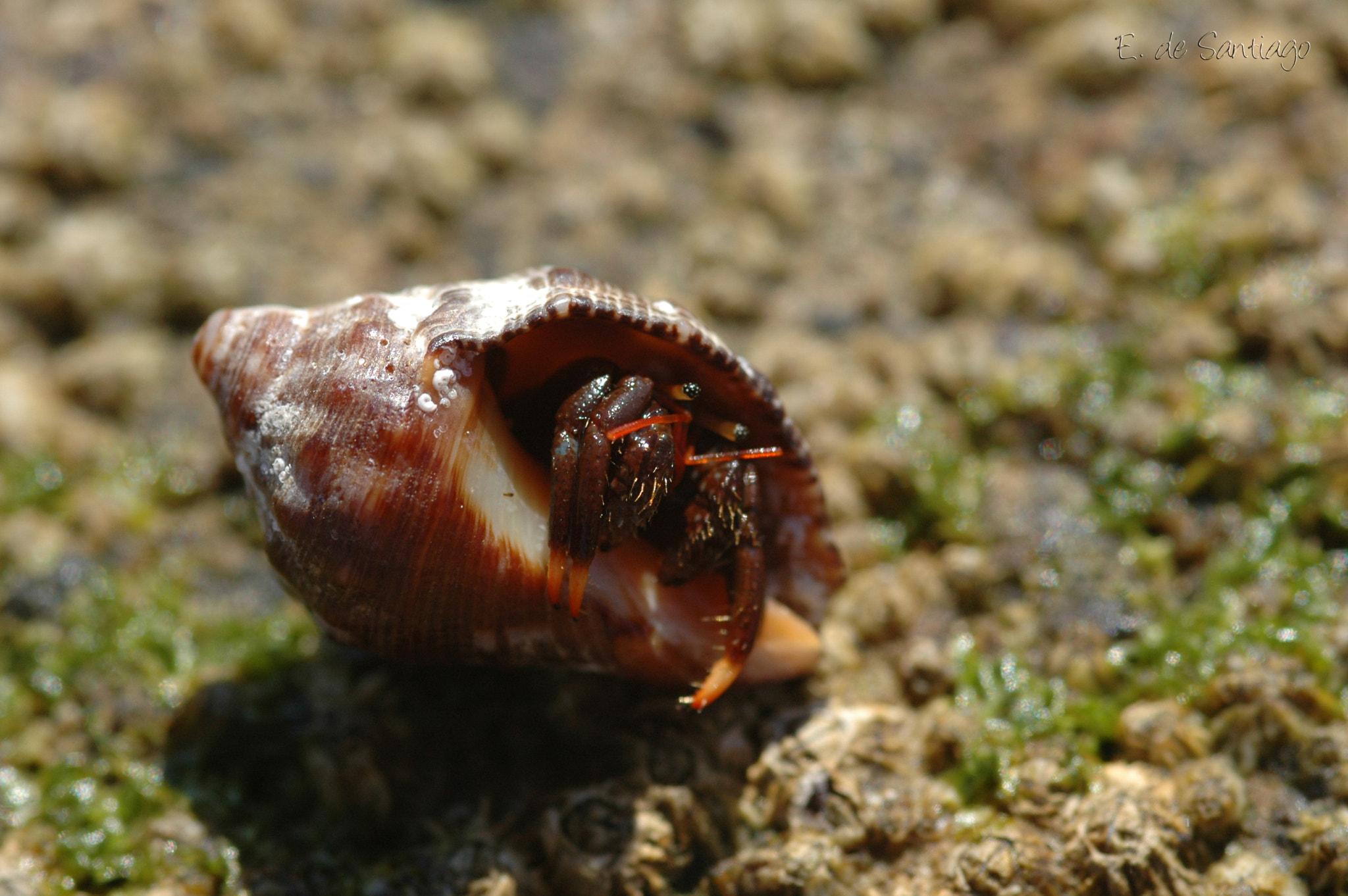 Nikon D70 sample photo. What´s happened? photography