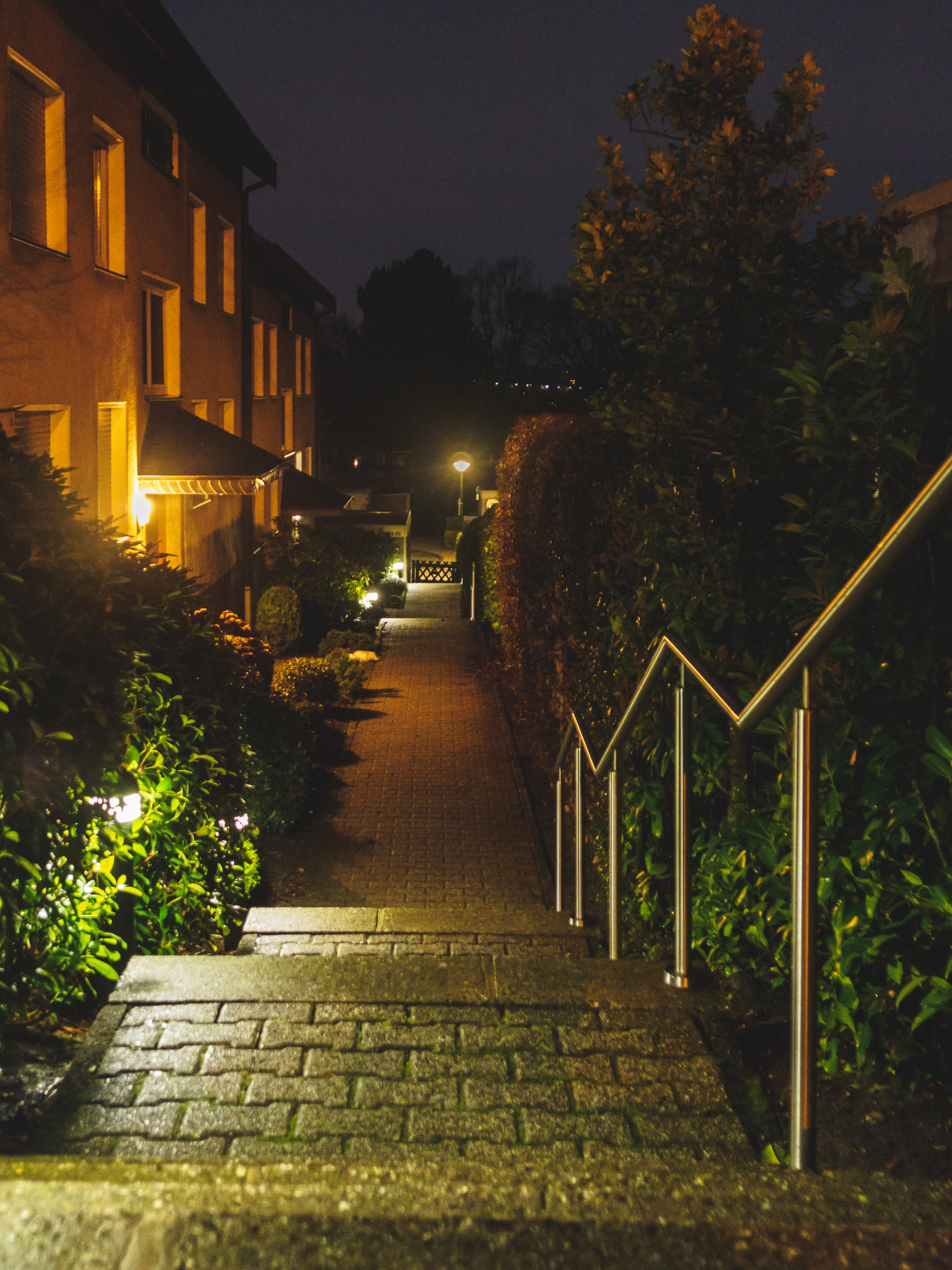 Olympus OM-D E-M1 + Sigma 19mm F2.8 DN Art sample photo. 55/365 - coming home at night photography