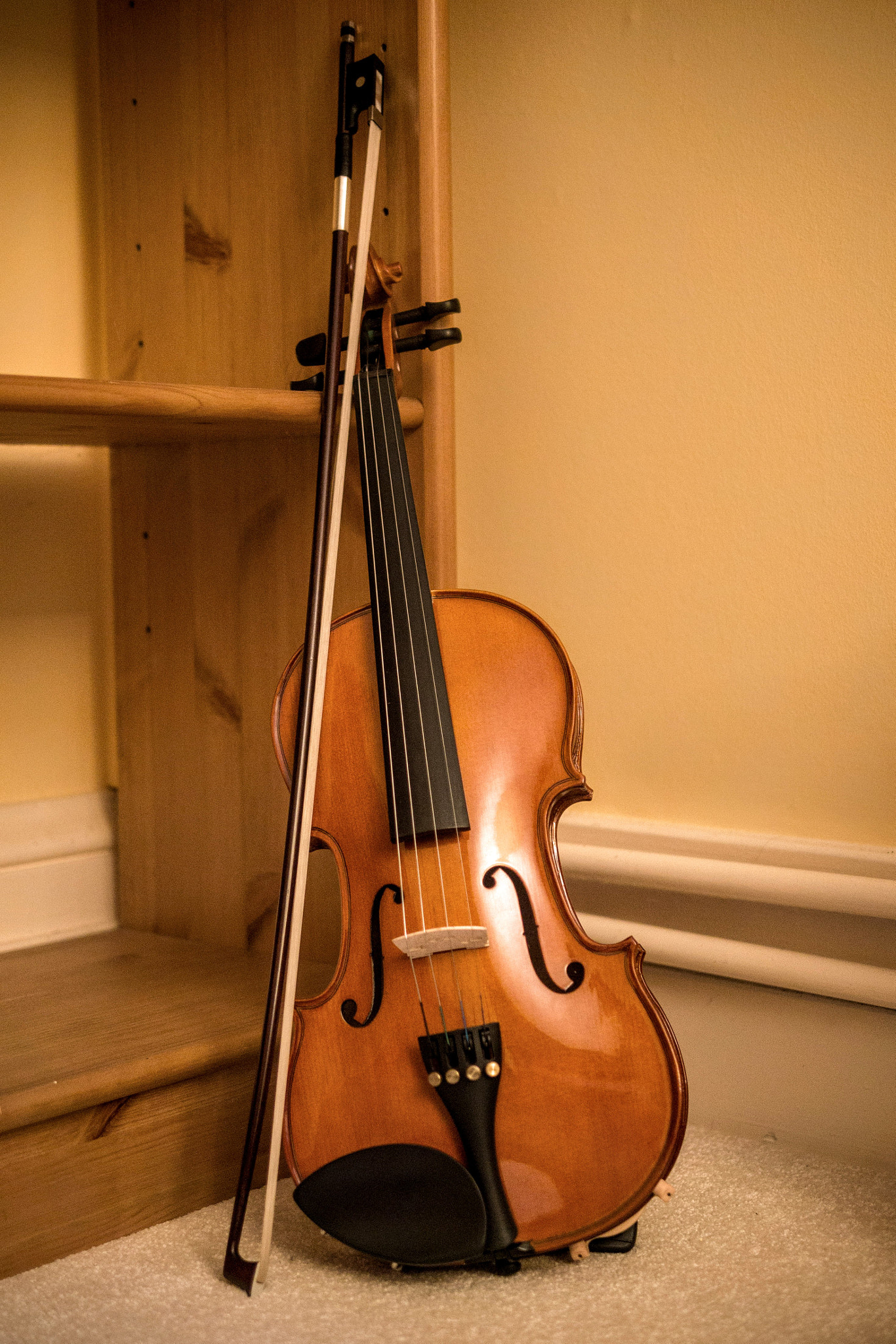 Panasonic Lumix DMC-G6 + Panasonic Leica DG Summilux 25mm F1.4 II ASPH sample photo. Violin.jpg photography