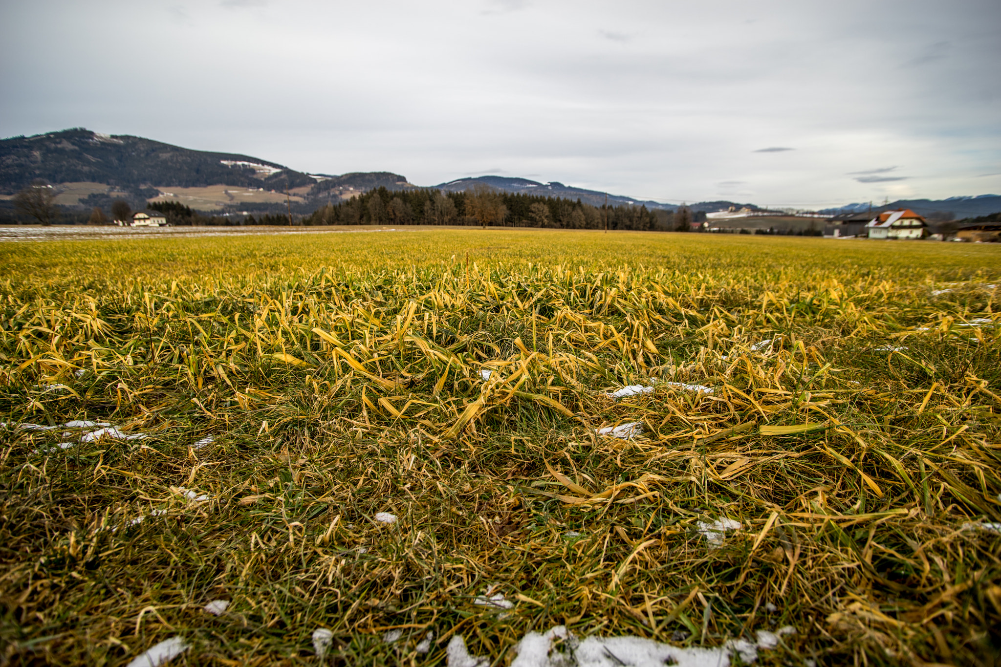 Sony a7 + Minolta AF 17-35mm F2.8-4 (D) sample photo. Feld photography