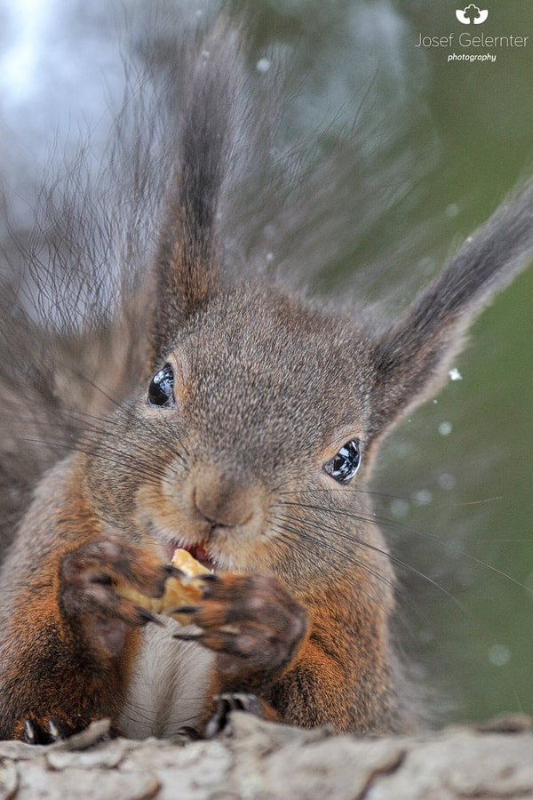 Nikon D3S sample photo. Sorry, all for me... photography
