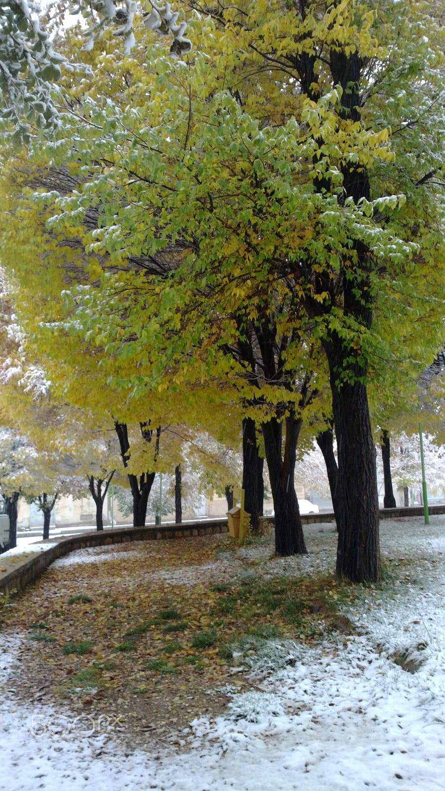 Nokia N9 sample photo. Winter-trees photography