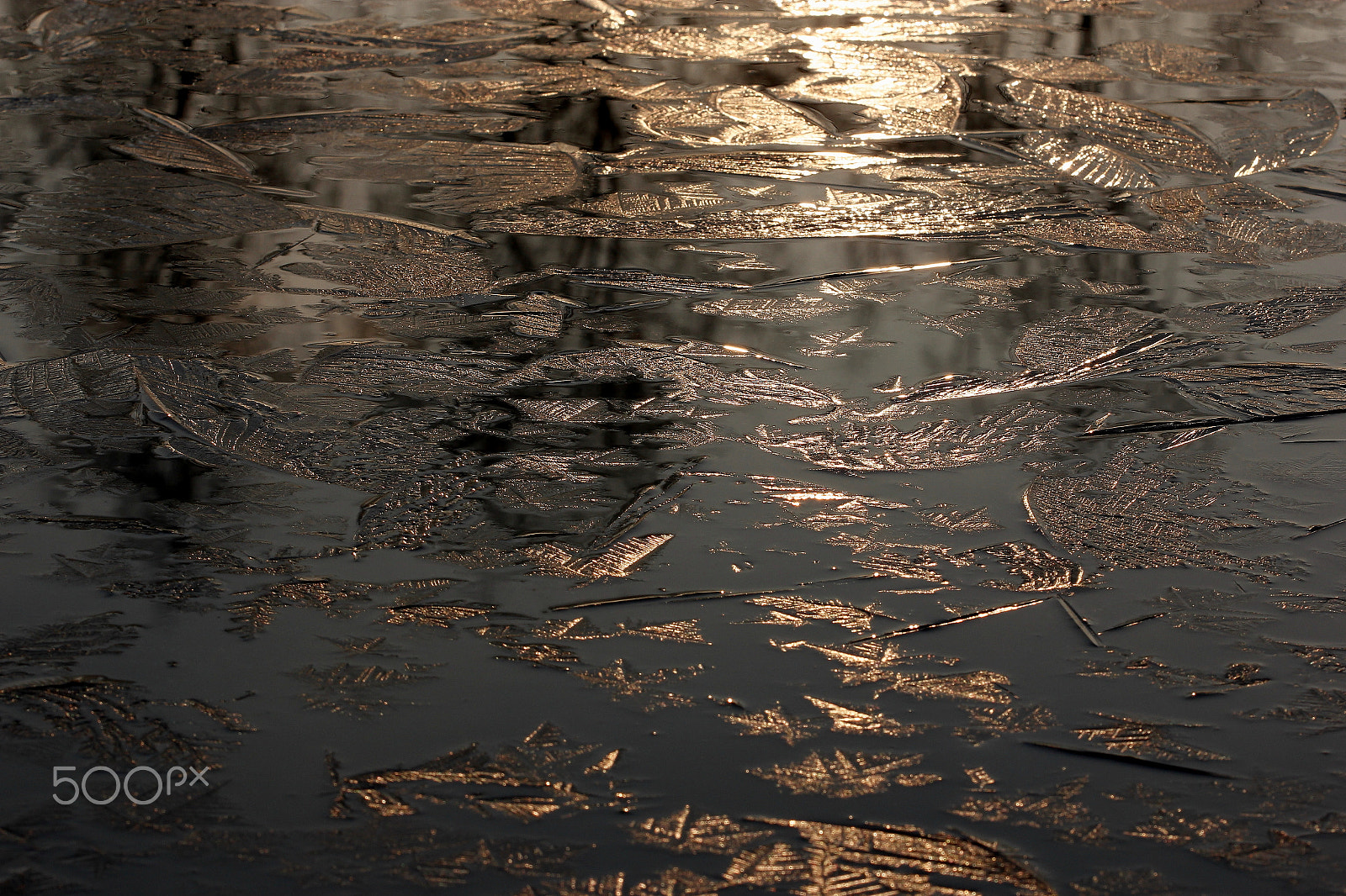 Canon EOS 60D + Canon EF 100mm F2.8 Macro USM sample photo. Ice photography