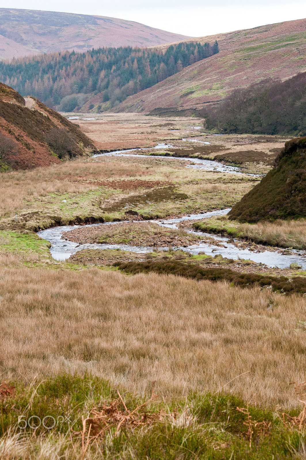 Nikon D300S + Sigma 70-200mm F2.8 EX DG OS HSM sample photo. Ribble valley photography