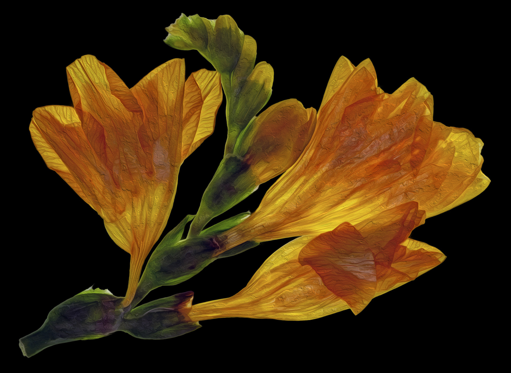 Canon EOS 7D + Canon EF 100mm F2.8 Macro USM sample photo. Orange dried flower photography