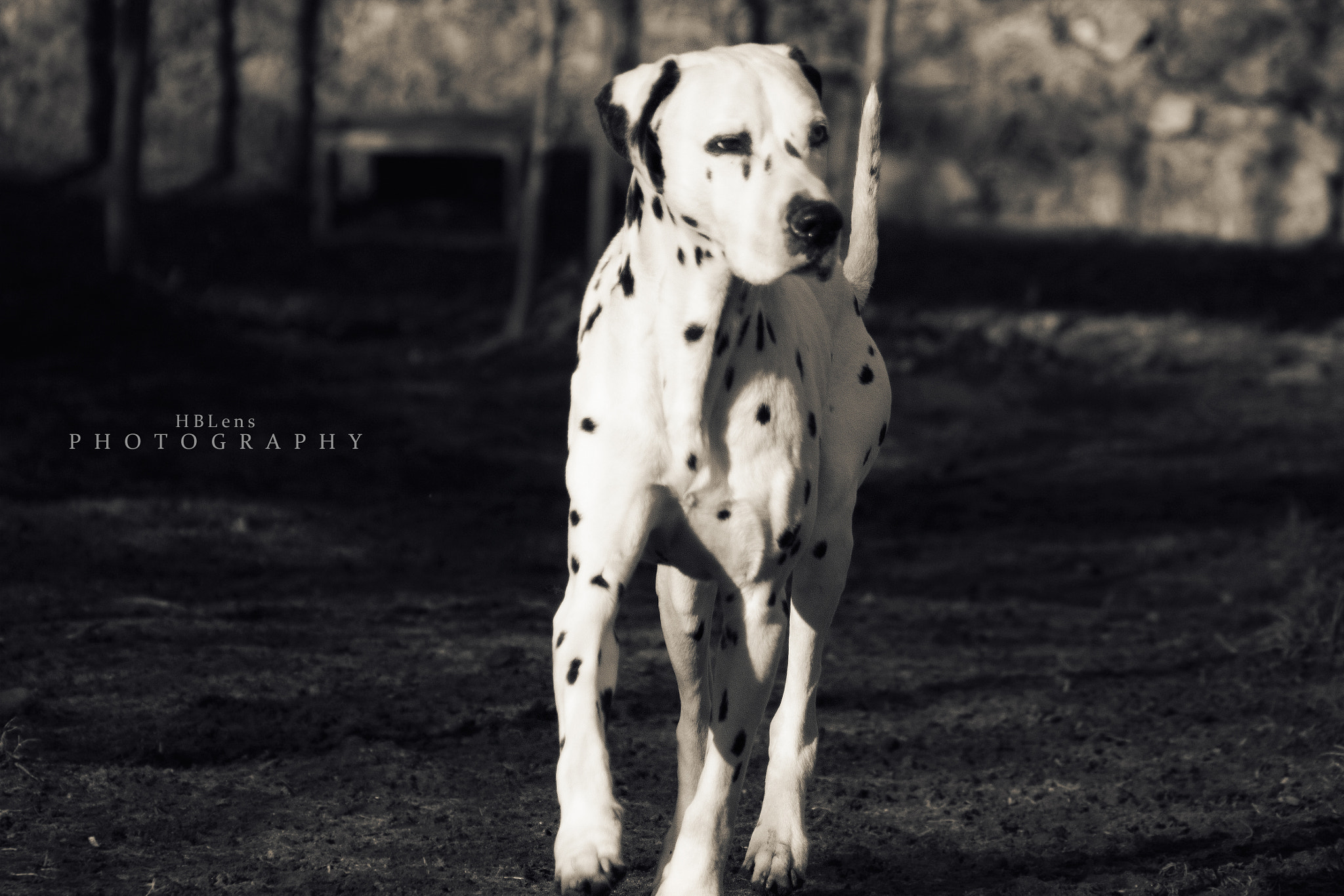 Canon EOS 60D + Canon EF 100mm F2.8 Macro USM sample photo. Iii. diego photography