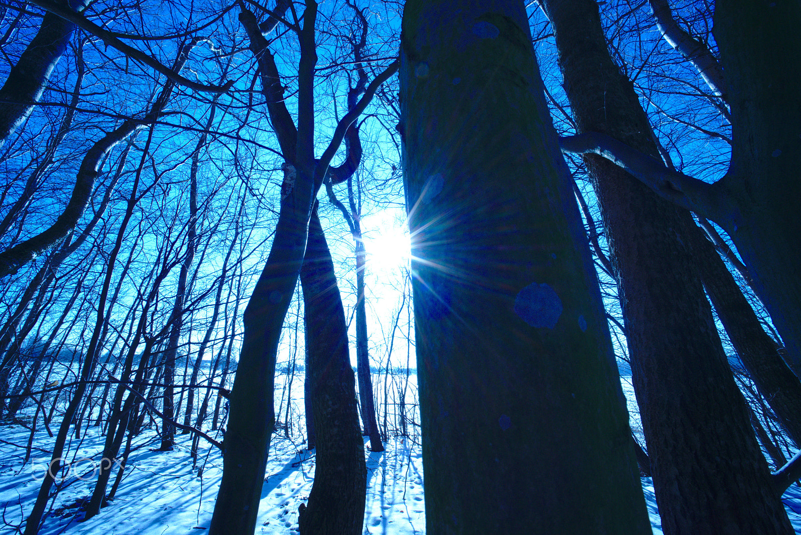 Nikon D800 + Manual Lens No CPU sample photo. Winter sun photography