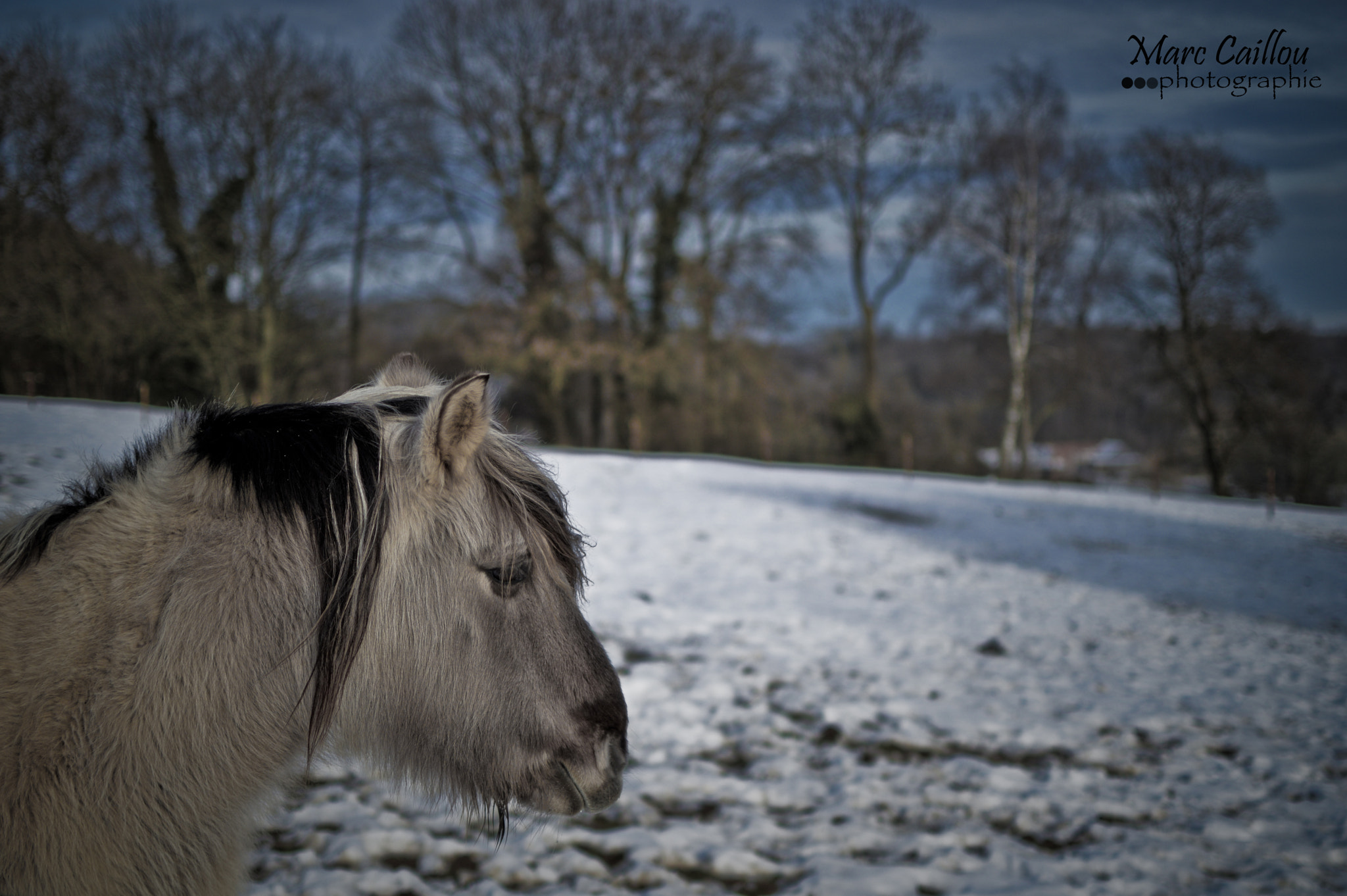 Nikon D3200 + Nikon AF Nikkor 20mm F2.8D sample photo. 20160122-dsc_0024.jpg photography