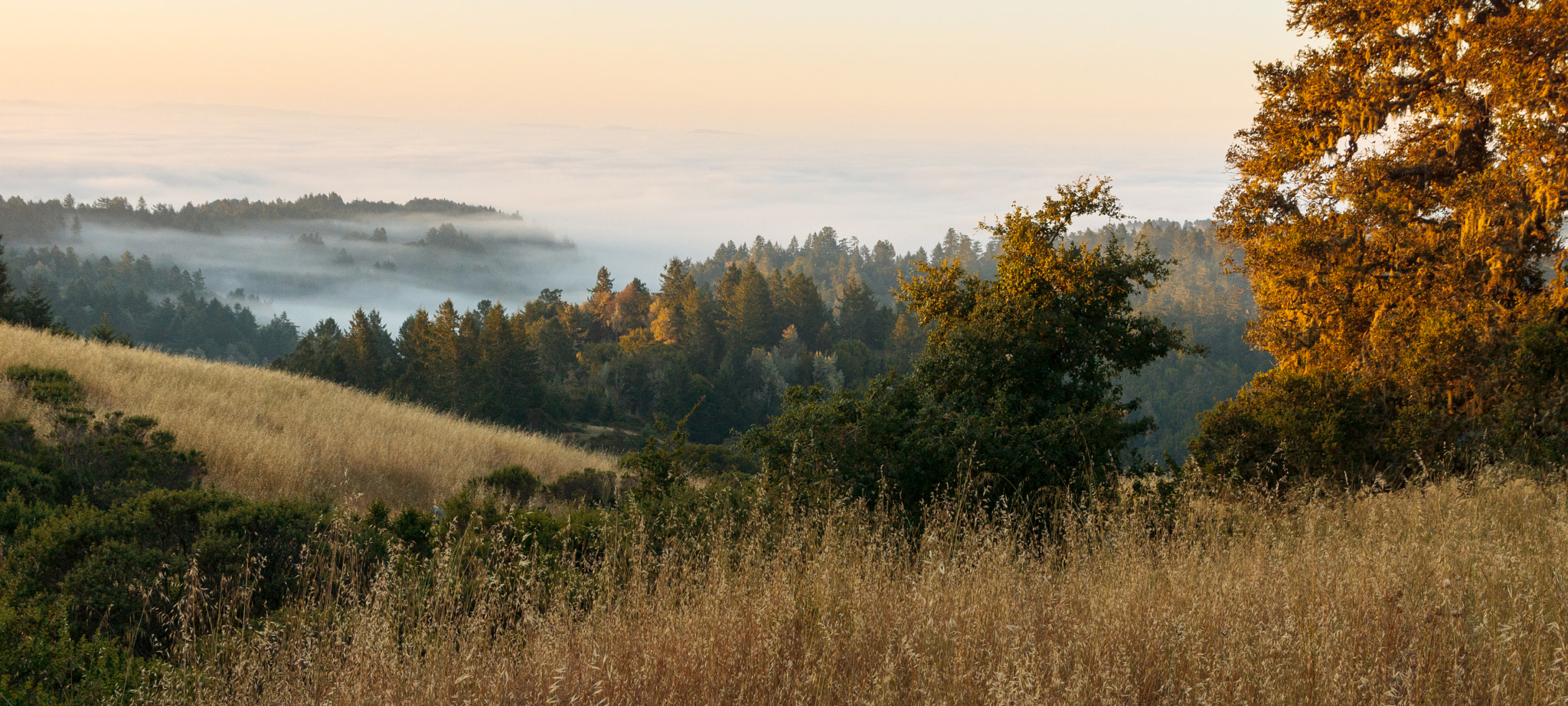 Sony SLT-A65 (SLT-A65V) + Tamron SP 24-70mm F2.8 Di VC USD sample photo. Dawn over sonoma county photography