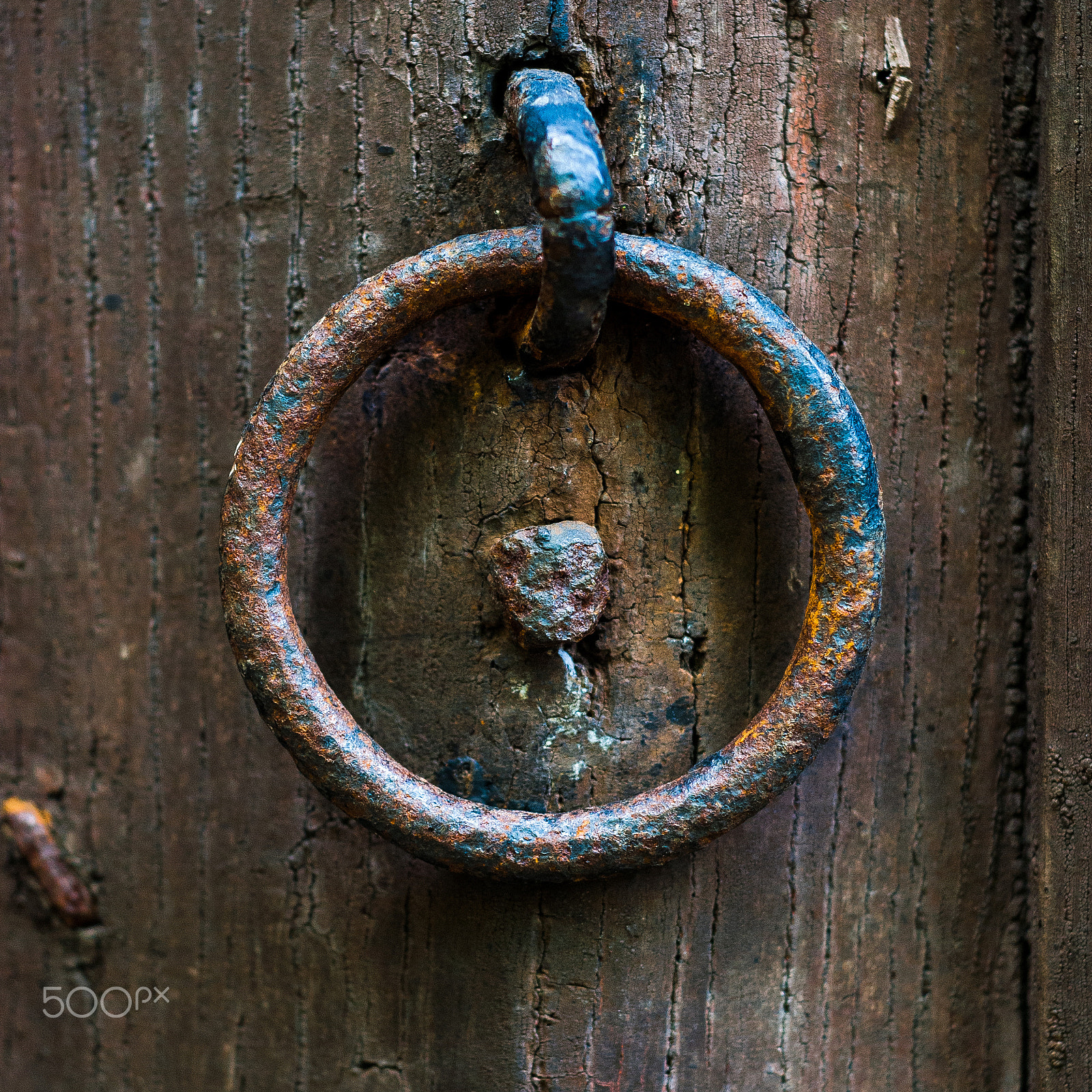 Nikon D80 + AF Nikkor 50mm f/1.8 N sample photo. Knock knock photography
