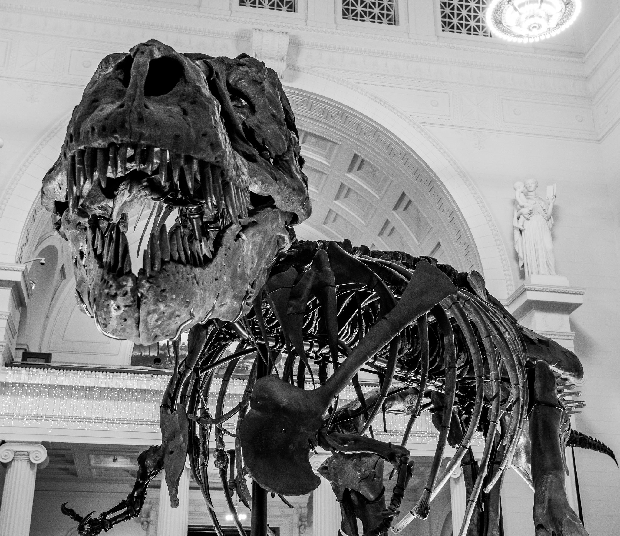 Tamron SP 15-30mm F2.8 Di VC USD sample photo. Feild museum - rex named sue photography