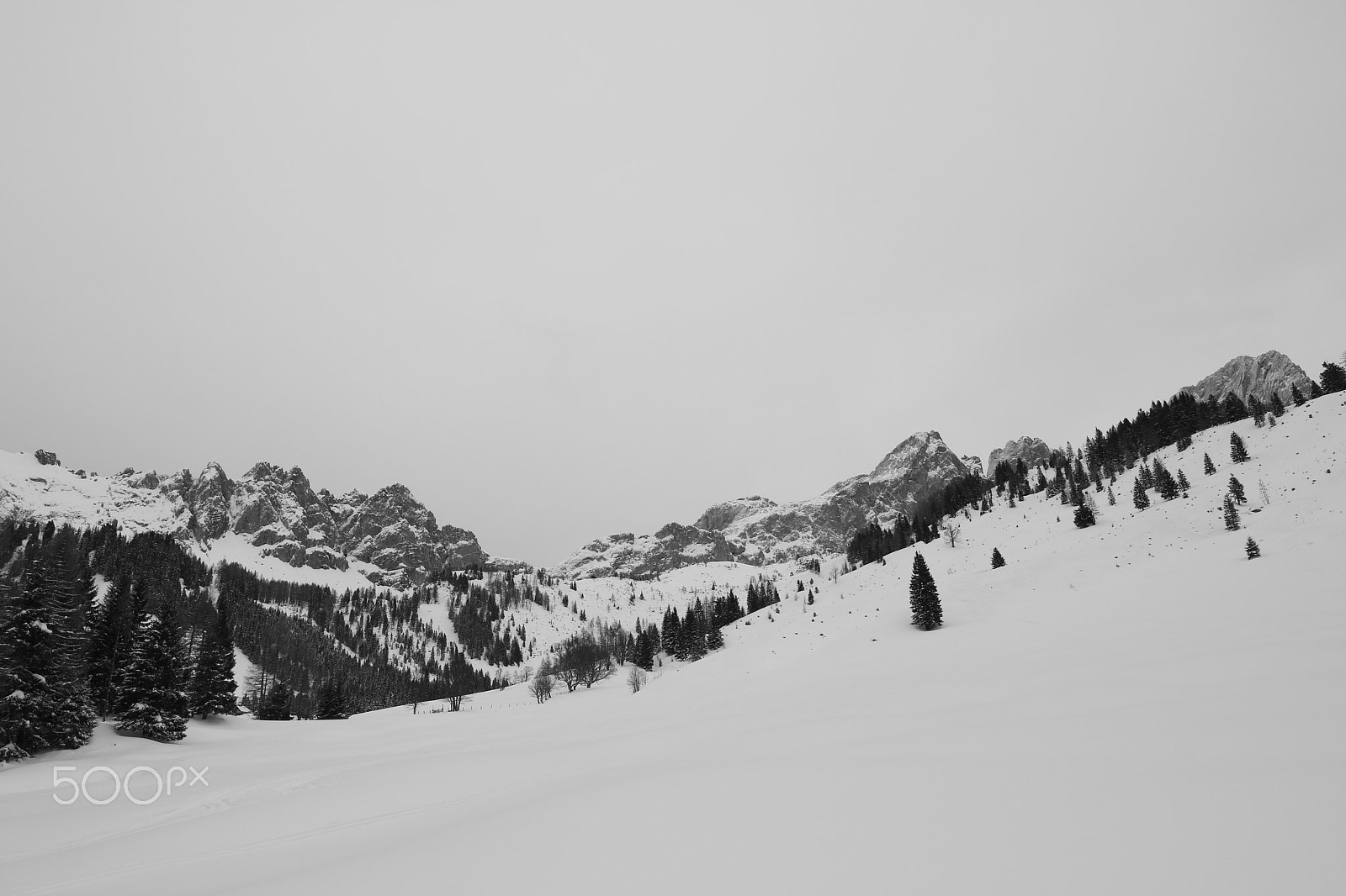 Canon EOS 750D (EOS Rebel T6i / EOS Kiss X8i) + Canon EF 300mm f/2.8L sample photo. Winterland2 photography