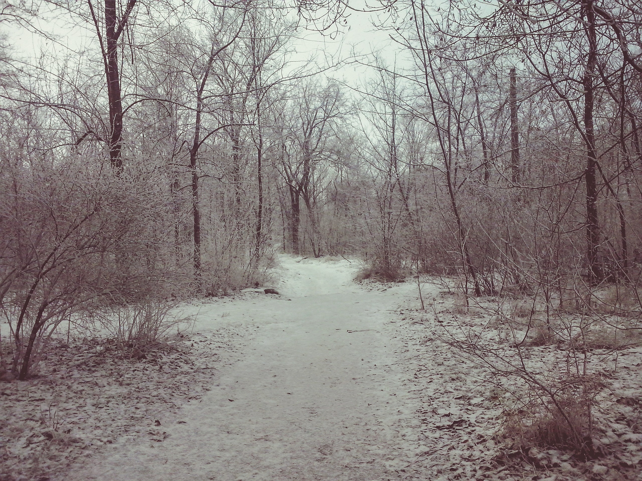 LG OPTIMUS L5 II sample photo. [] photography