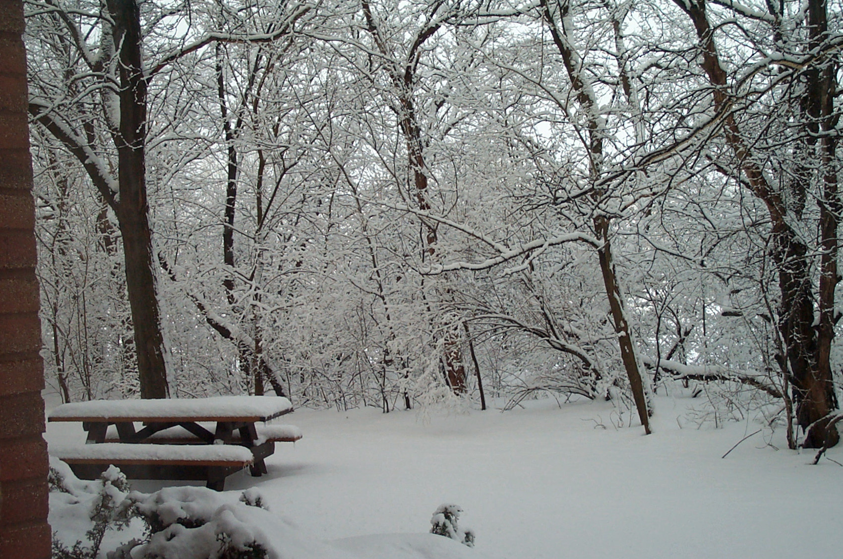 Kodak DC280 ZOOM DIGITAL CAMERA sample photo. Remembering the snow photography
