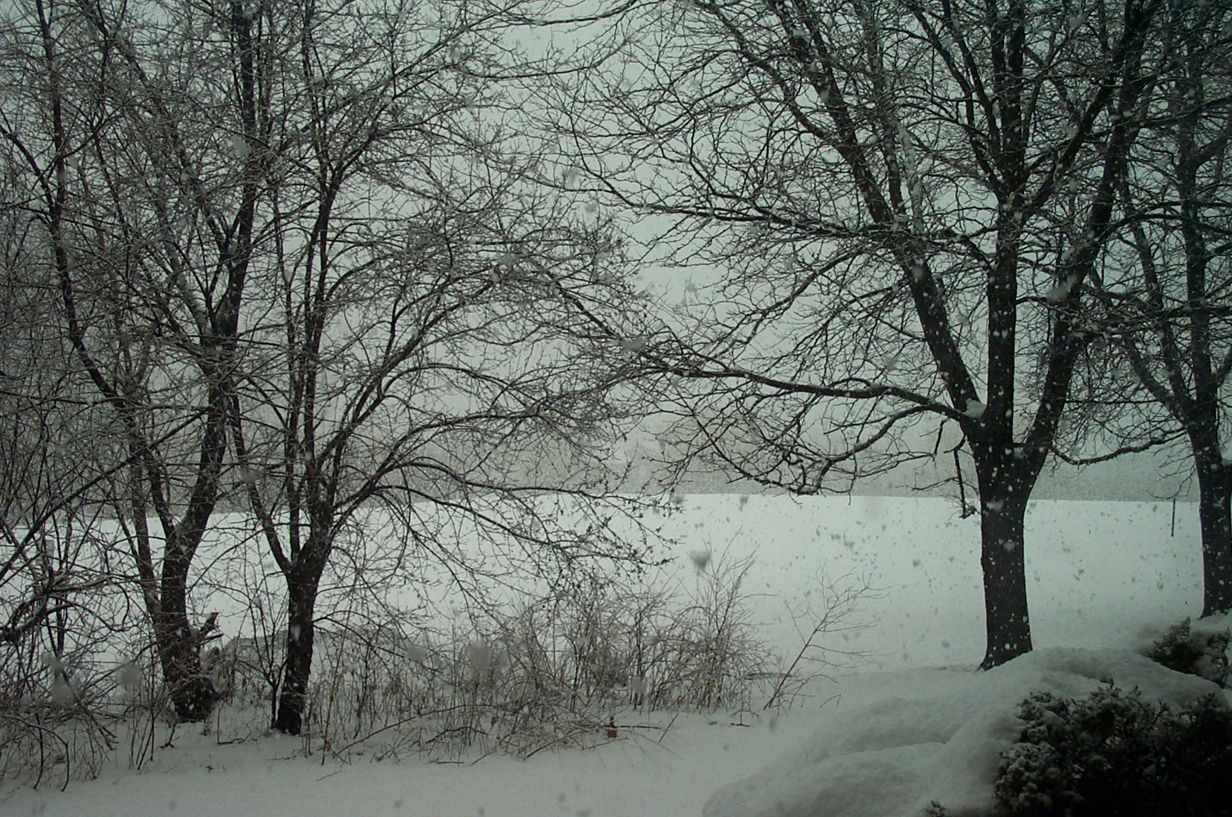 Kodak DC280 ZOOM DIGITAL CAMERA sample photo. Snowing photography