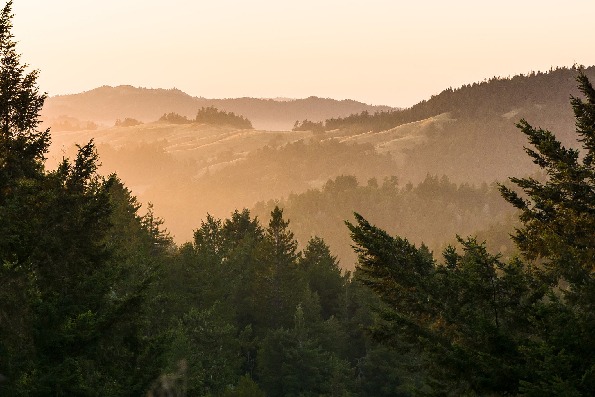 Sony SLT-A65 (SLT-A65V) + Tamron SP 24-70mm F2.8 Di VC USD sample photo. Sonoma sunrise photography