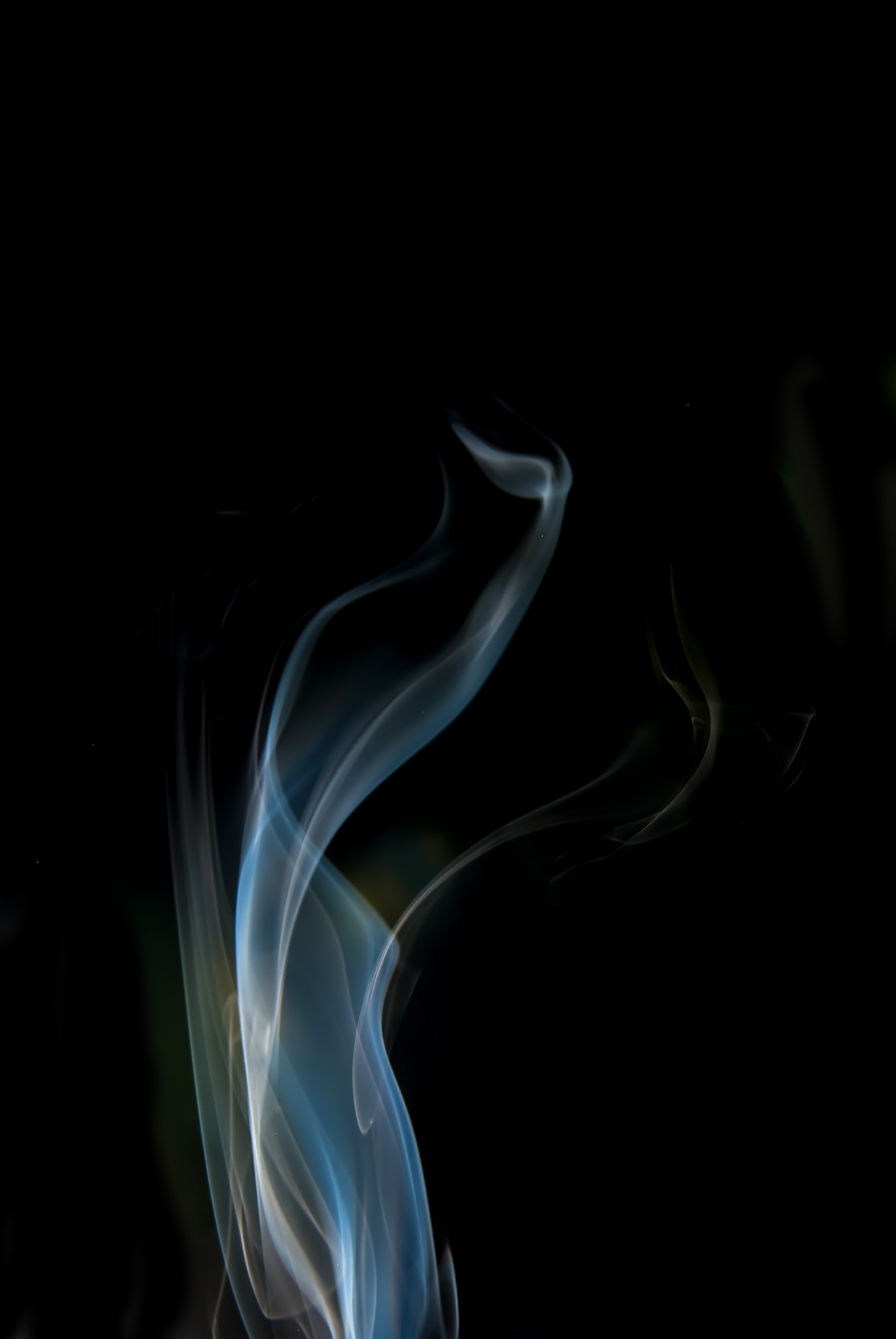 Nikon D200 sample photo. Yos_9790.jpg photography