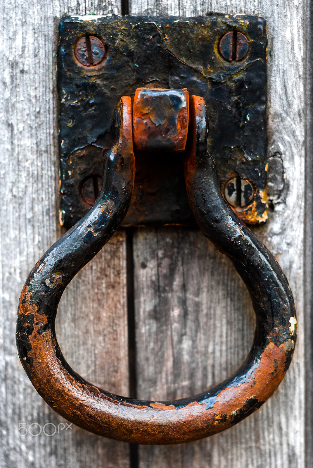 Nikon D80 + AF Nikkor 50mm f/1.8 N sample photo. Knock knock nr2 photography