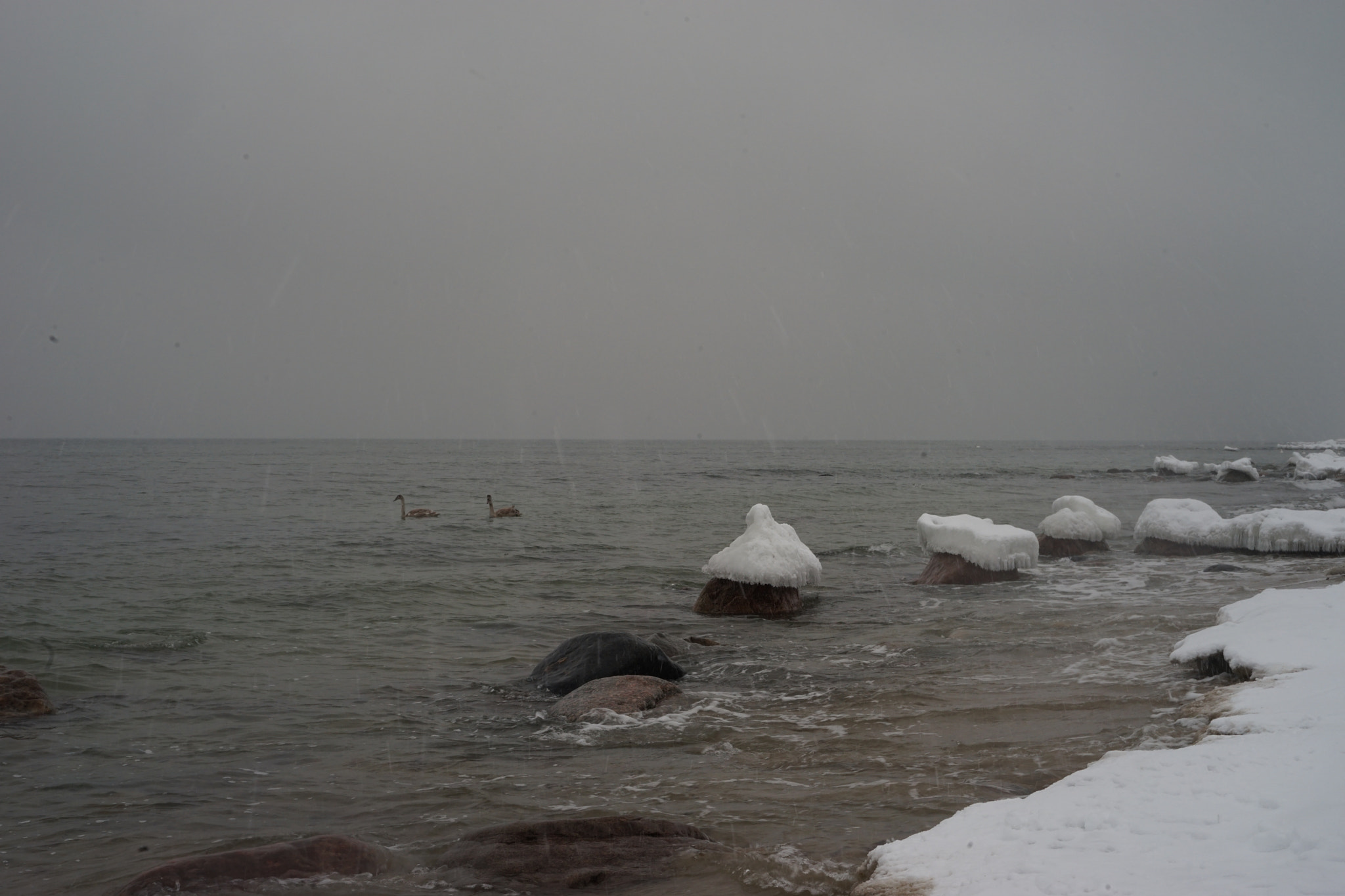Sony a7 II + Sony 50mm F2.8 Macro sample photo. Winter cold photography