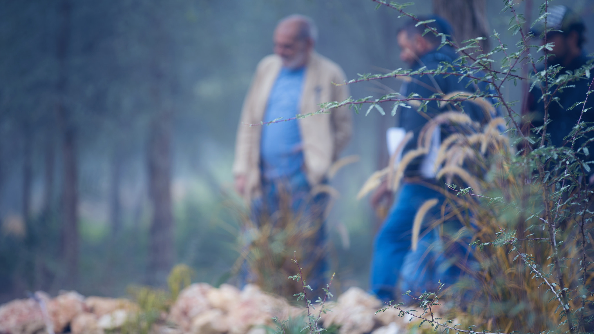 Sony a7S sample photo. Fog photography