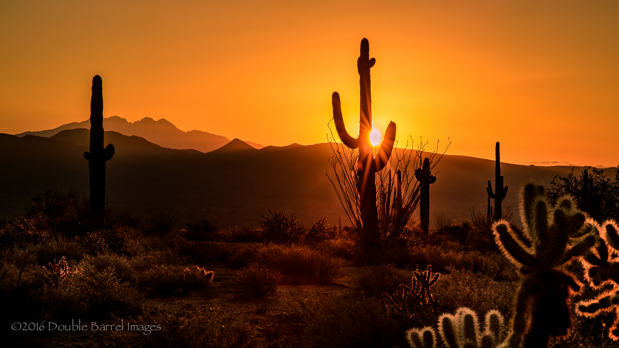 Nikon D4 + Sigma 85mm F1.4 EX DG HSM sample photo. Desert sunrise photography