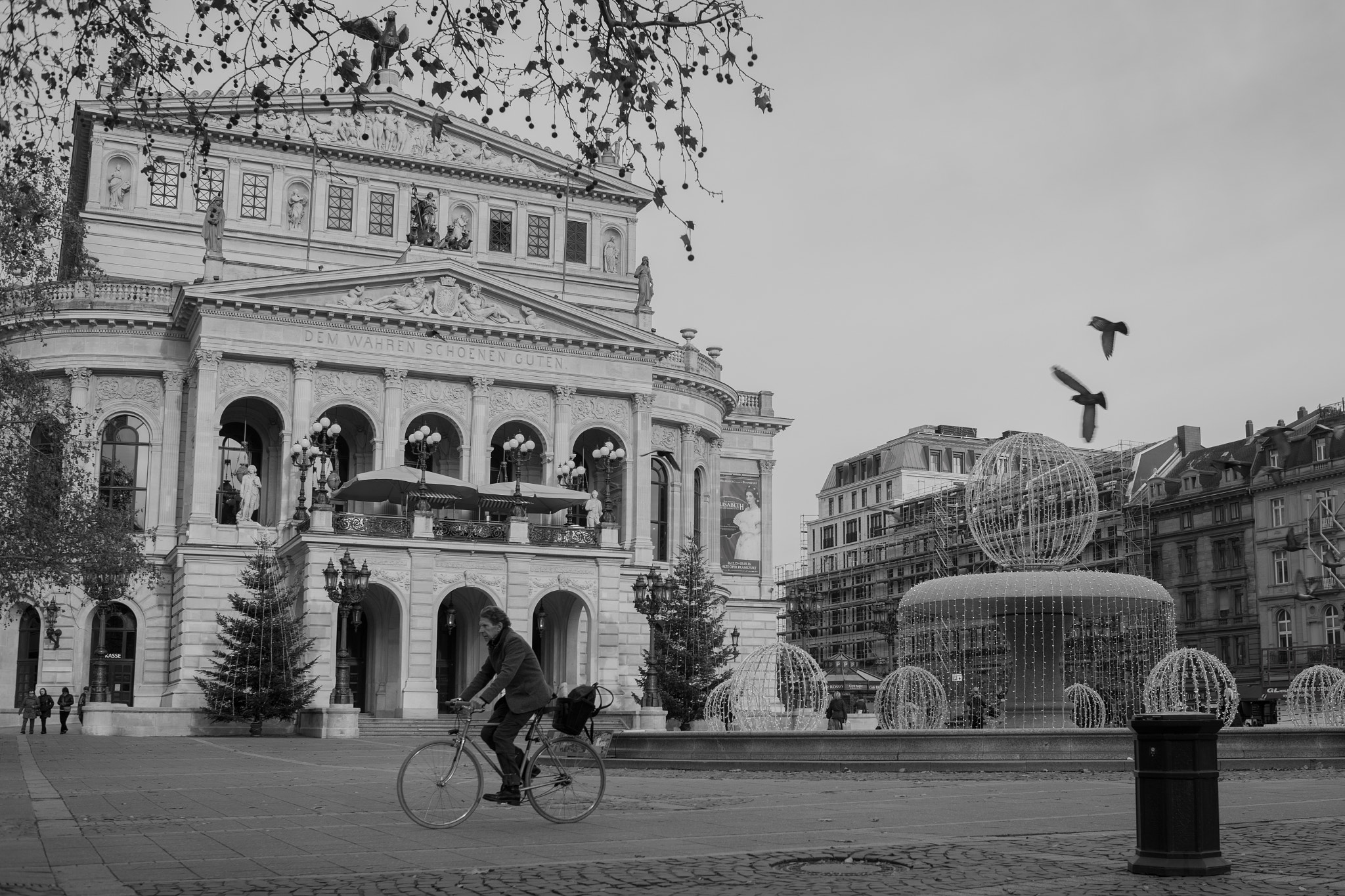 Nikon D750 + AF Nikkor 35mm f/2 sample photo. Frankfurt alte oper photography