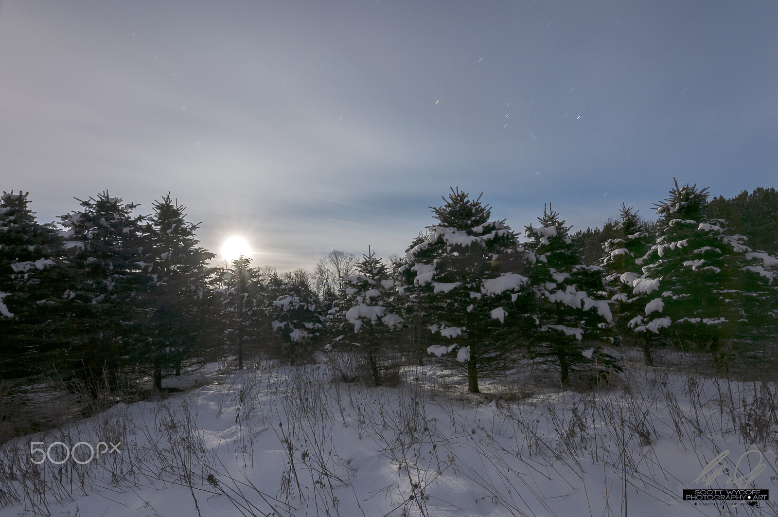 Nikon D5000 + Tokina AT-X 11-20 F2.8 PRO DX (AF 11-20mm f/2.8) sample photo. Full moon over the pines photography