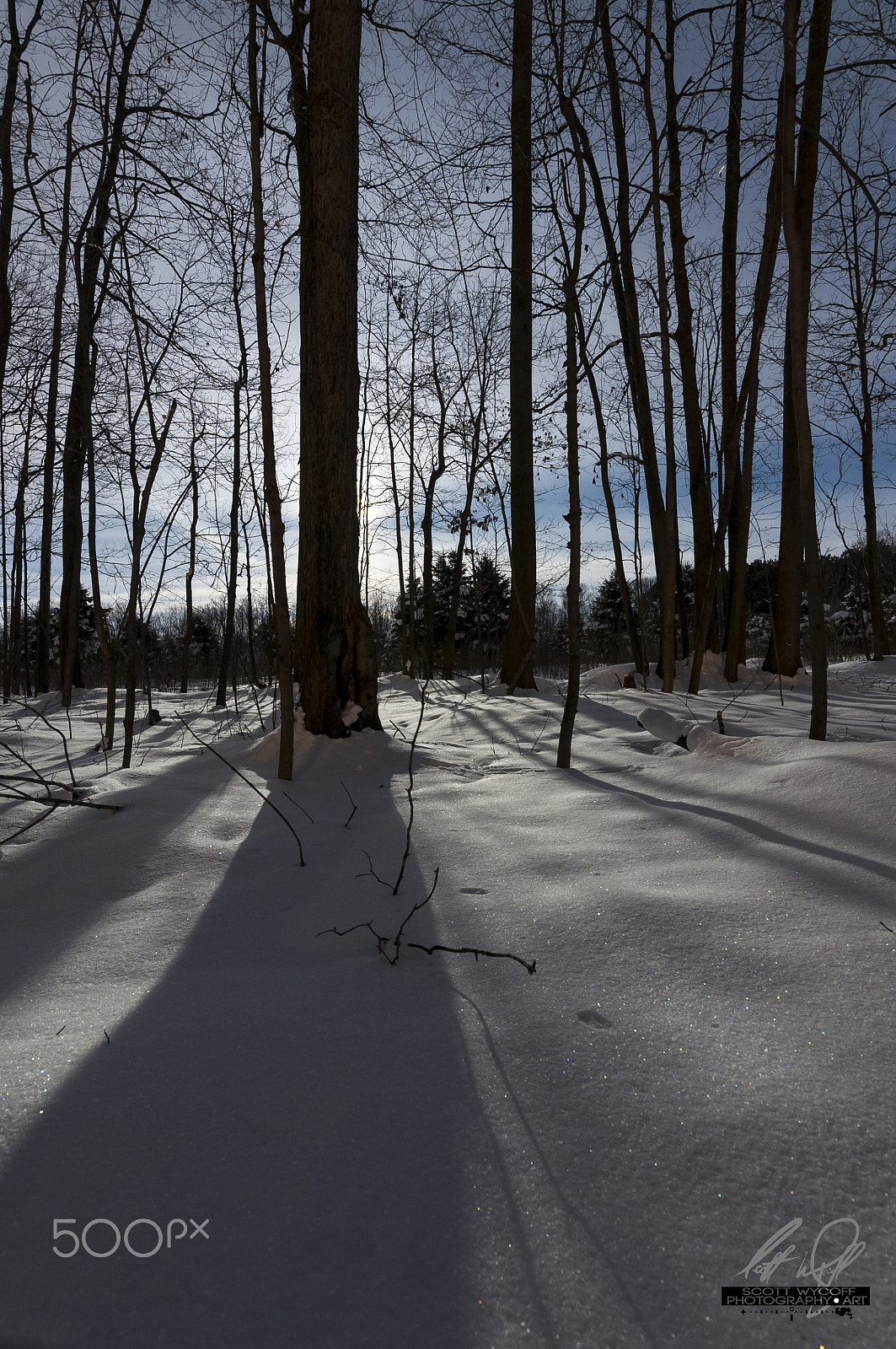 Nikon D5000 + Tokina AT-X 11-20 F2.8 PRO DX (AF 11-20mm f/2.8) sample photo. Snow and shadow moonlight waltz photography