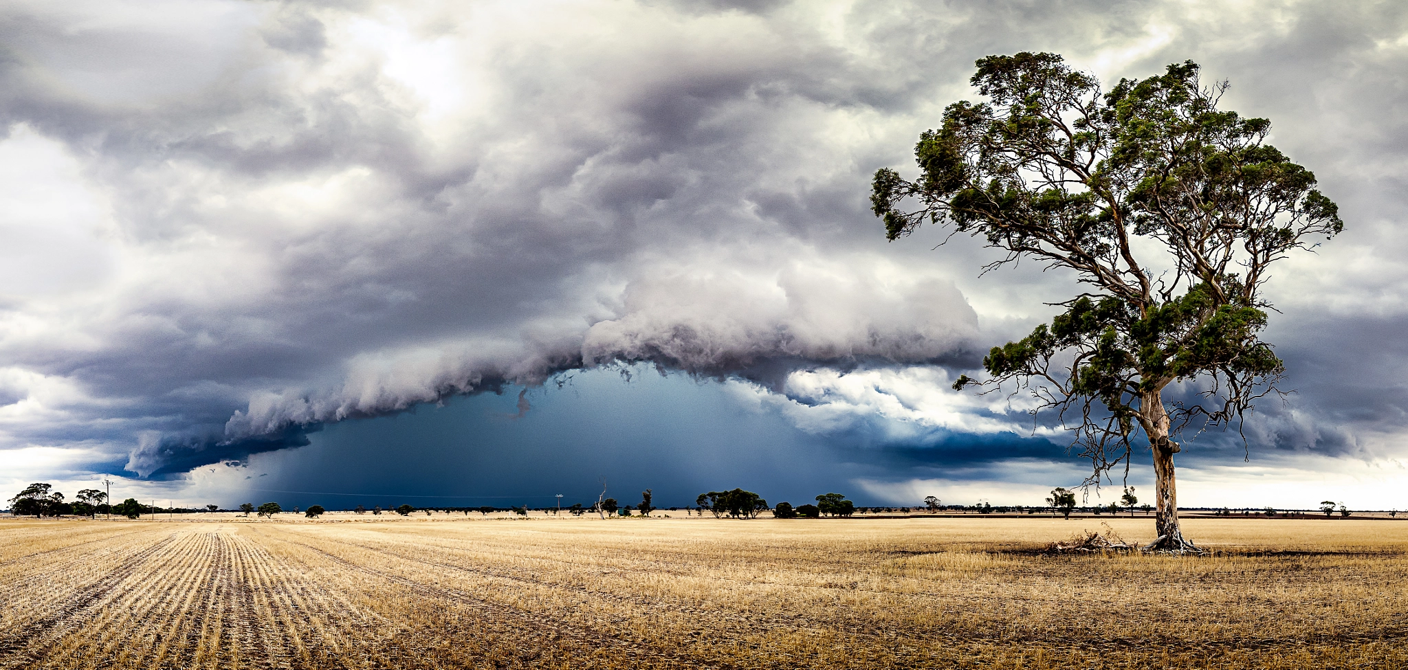 Olympus M.Zuiko Digital ED 7-14mm F2.8 PRO sample photo. Storm brewing v2 photography