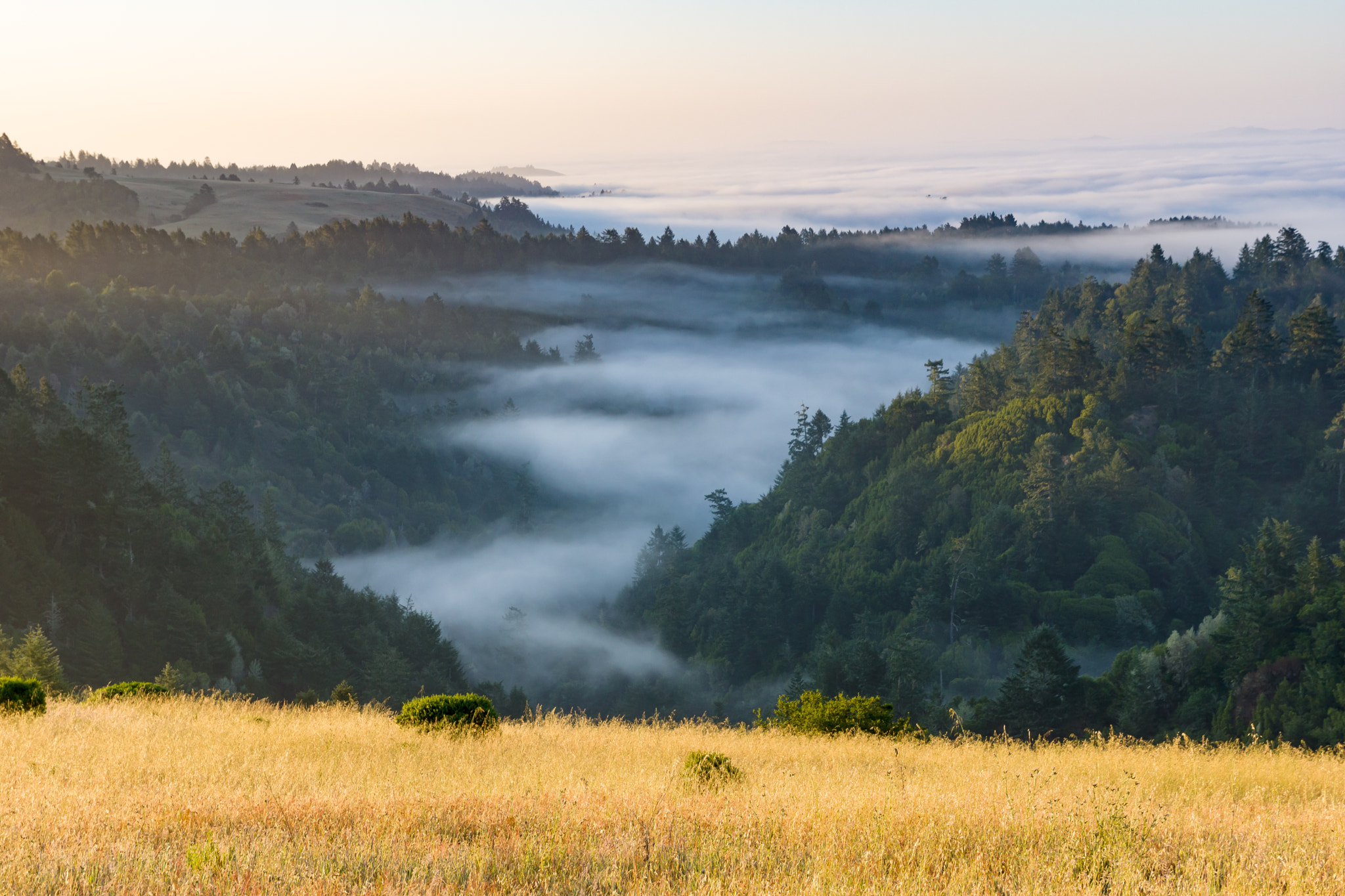 Sony SLT-A65 (SLT-A65V) + Tamron SP 24-70mm F2.8 Di VC USD sample photo. Mist over sonoma photography