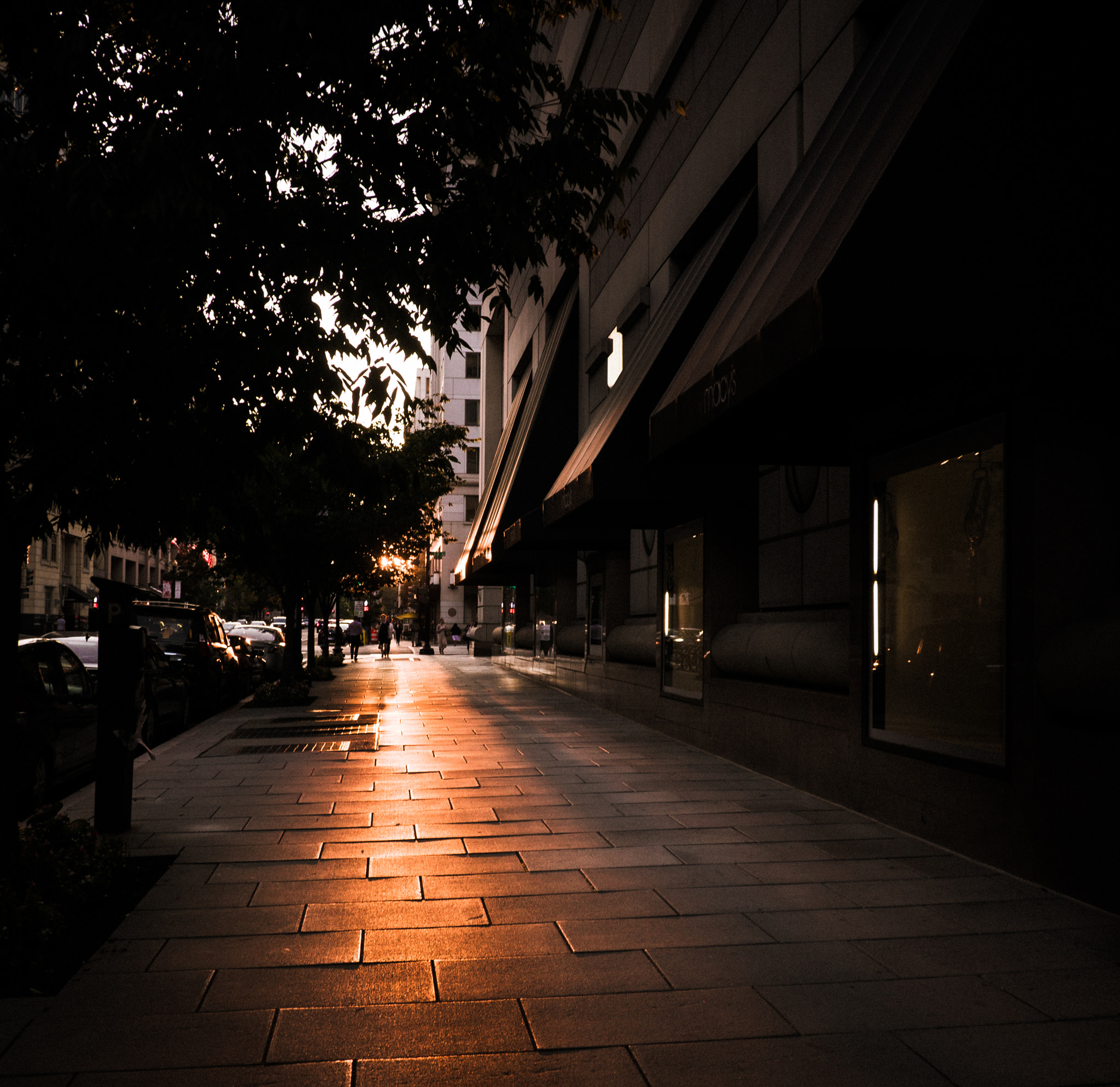 Panasonic Lumix DMC-G3 sample photo. Ray of light photography