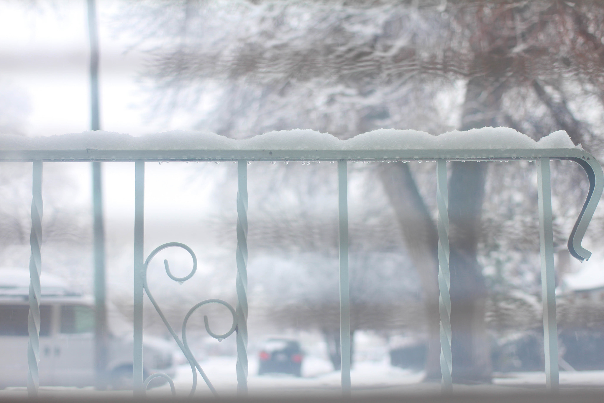 Canon EF 40mm F2.8 STM sample photo. Untitled (morning) photography