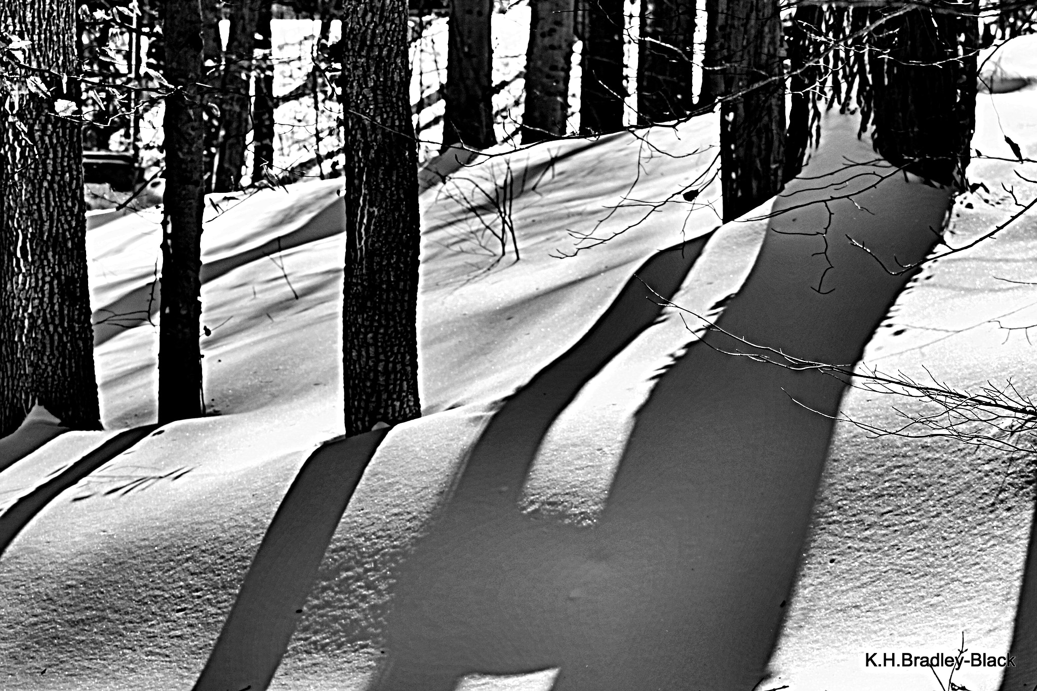 Canon EF75-300mm f/4-5.6 sample photo. Trees, shadows & snow photography